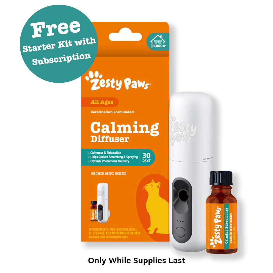 Cat Calming Diffuser Starter Kit - 30 Day Supply