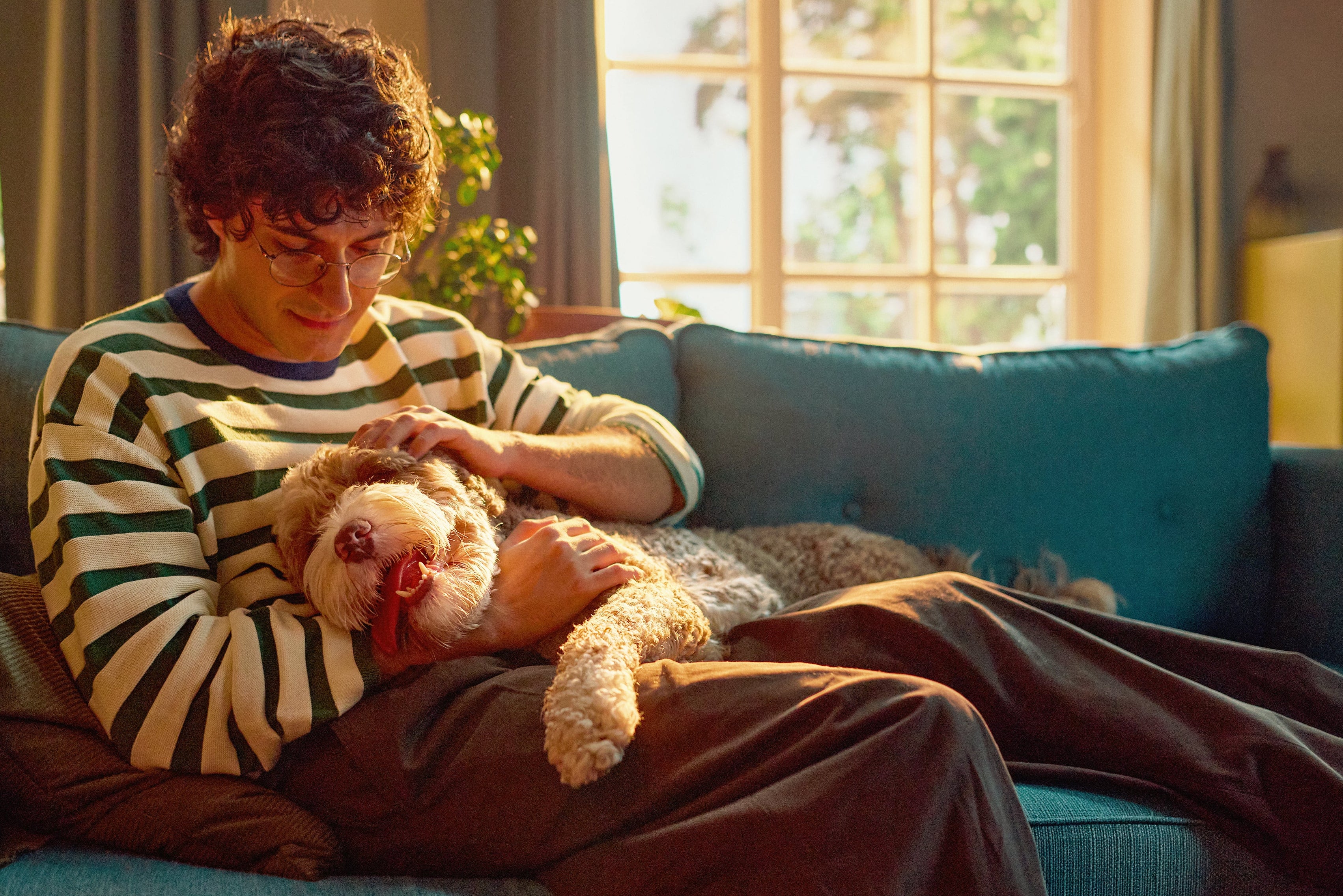 Person sitting on a couch holding a dog and a teddy bear in a sunlit room.