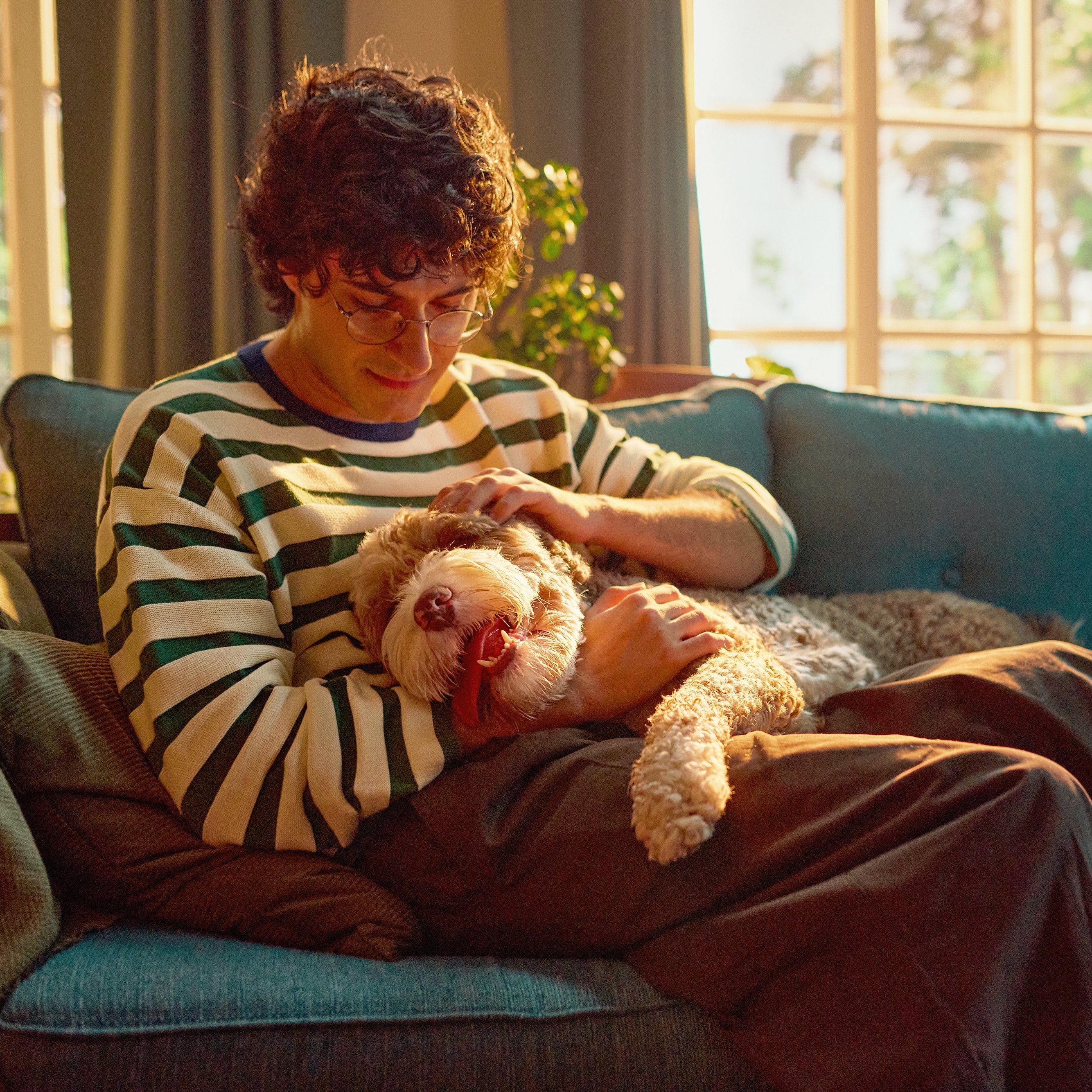 Person sitting on a couch holding a dog and a teddy bear in a sunlit room.