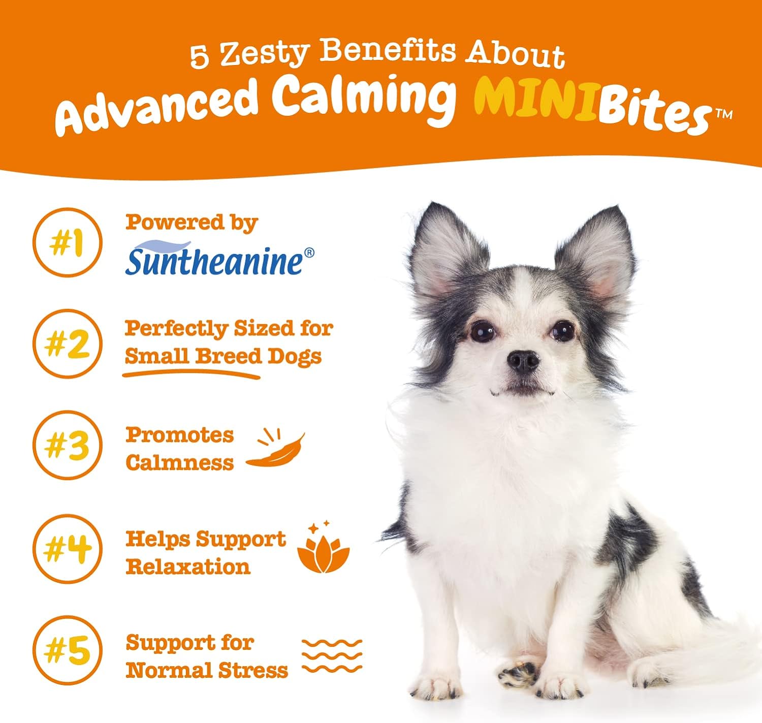 Advanced Calming Mini Bites™ for Small Dogs