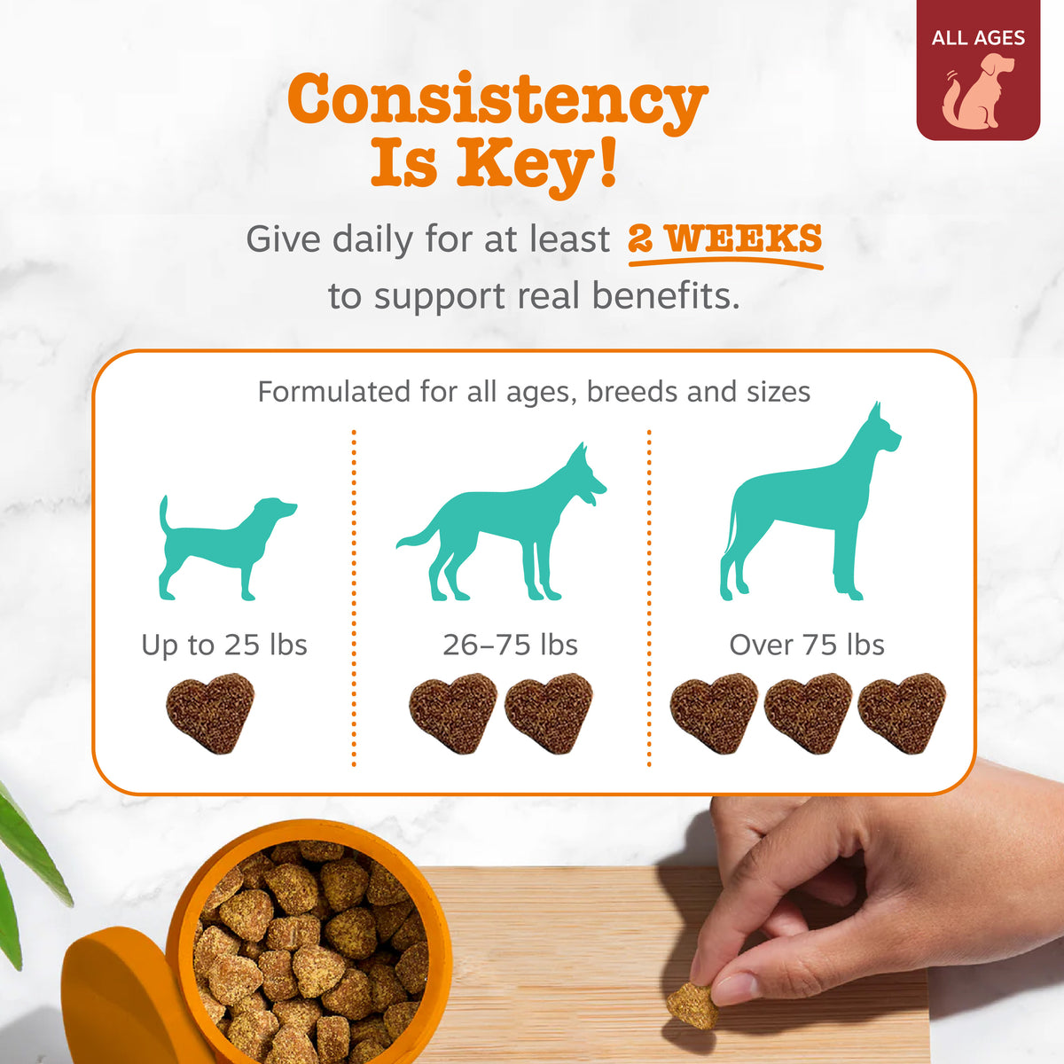 Ancient Elements™ Calming Bites™ for Dogs | Zesty Paws