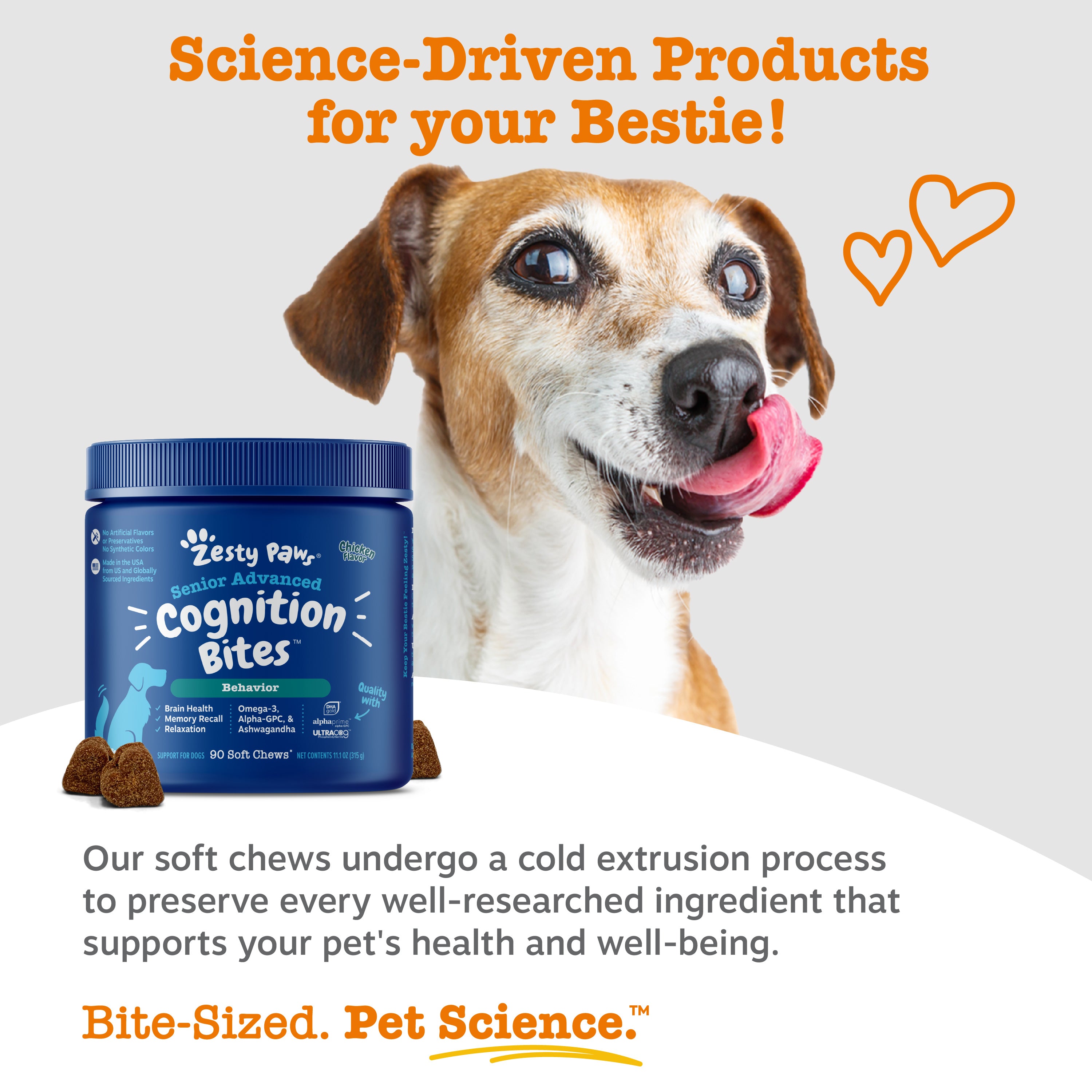 Advanced Cognition Bites™ For Dogs | Zesty Paws