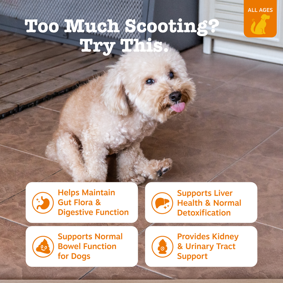 Scoot Away Bites™ for Dogs
