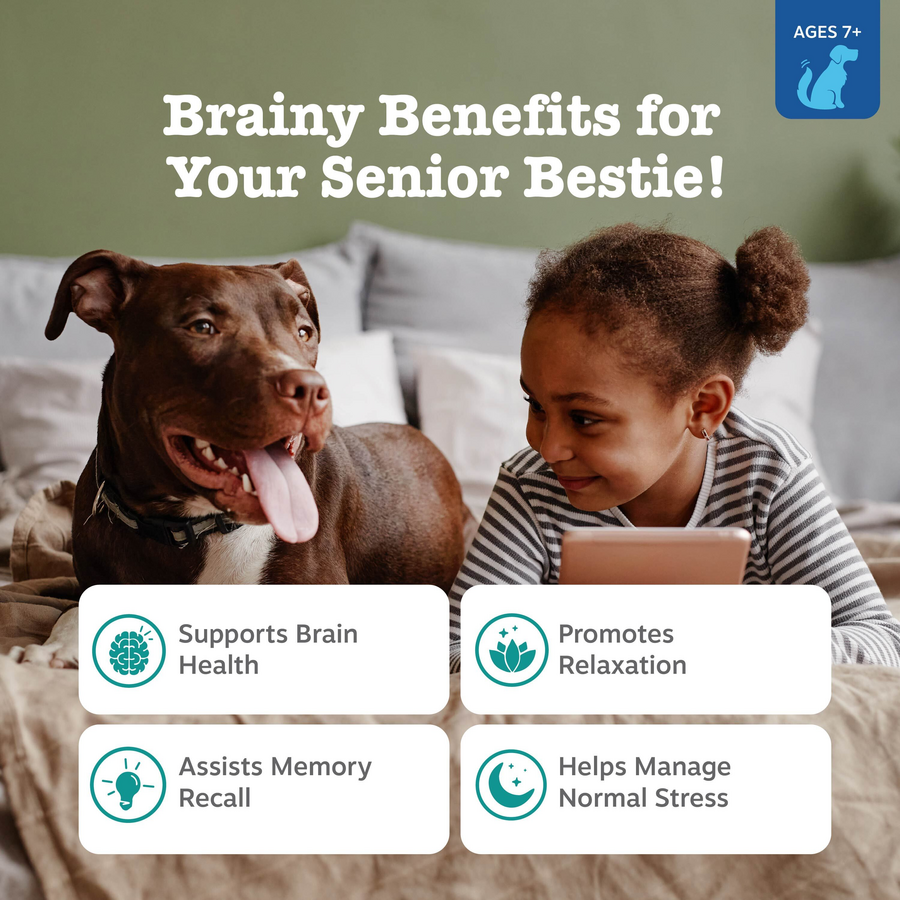 Calming & Cognition Bites™ for Senior Dogs