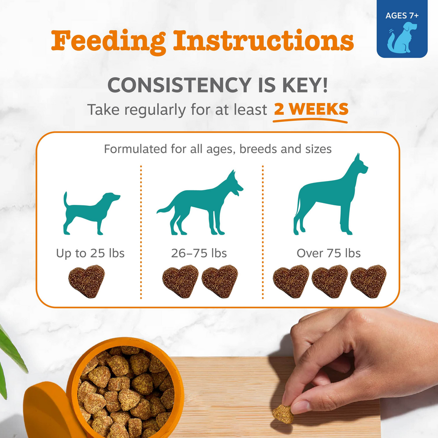 Calming & Cognition Bites™ for Senior Dogs