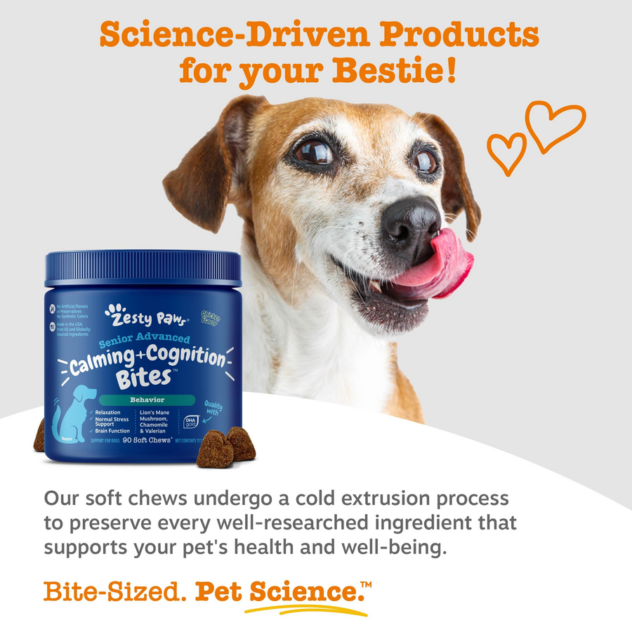 Calming & Cognition Bites™ for Senior Dogs