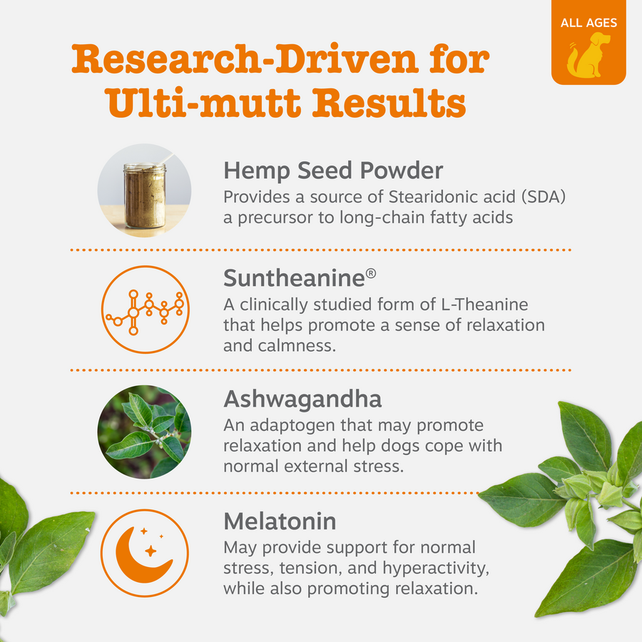 Hemp Elements™ Calming Bites™ for Dogs