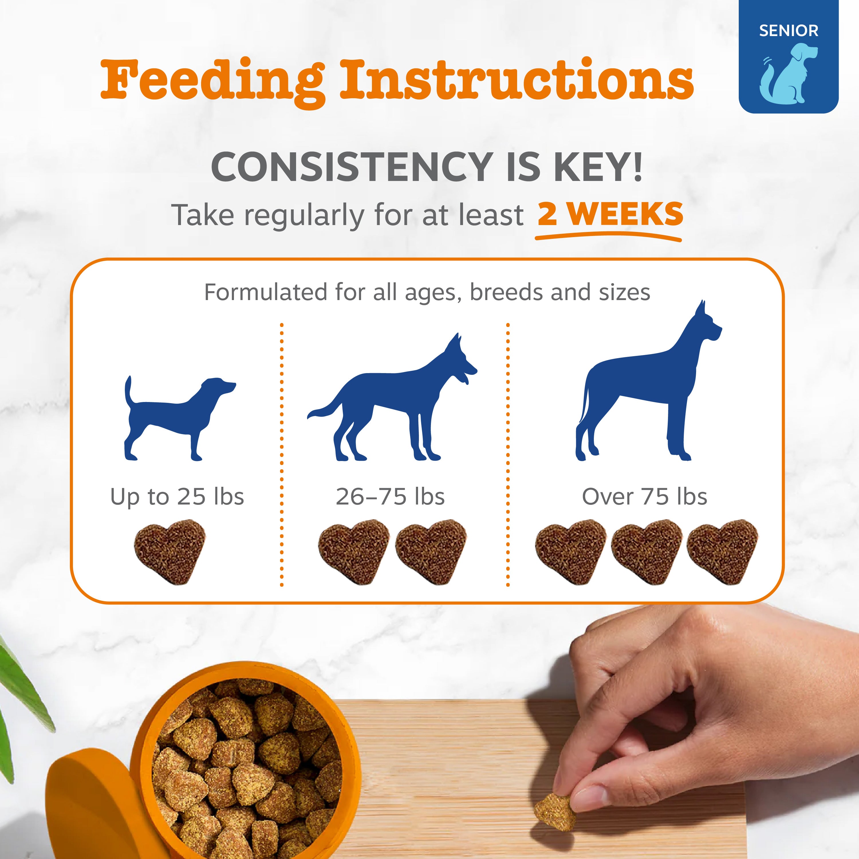 Senior Advanced 11-in-1 Multivitamin Bites for Senior Dogs
