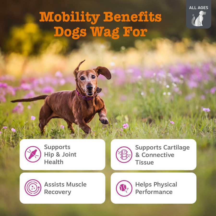 Vet Strength Hip & Joint Mobility Bites for Dogs - Supreme Hip & Joint Support
