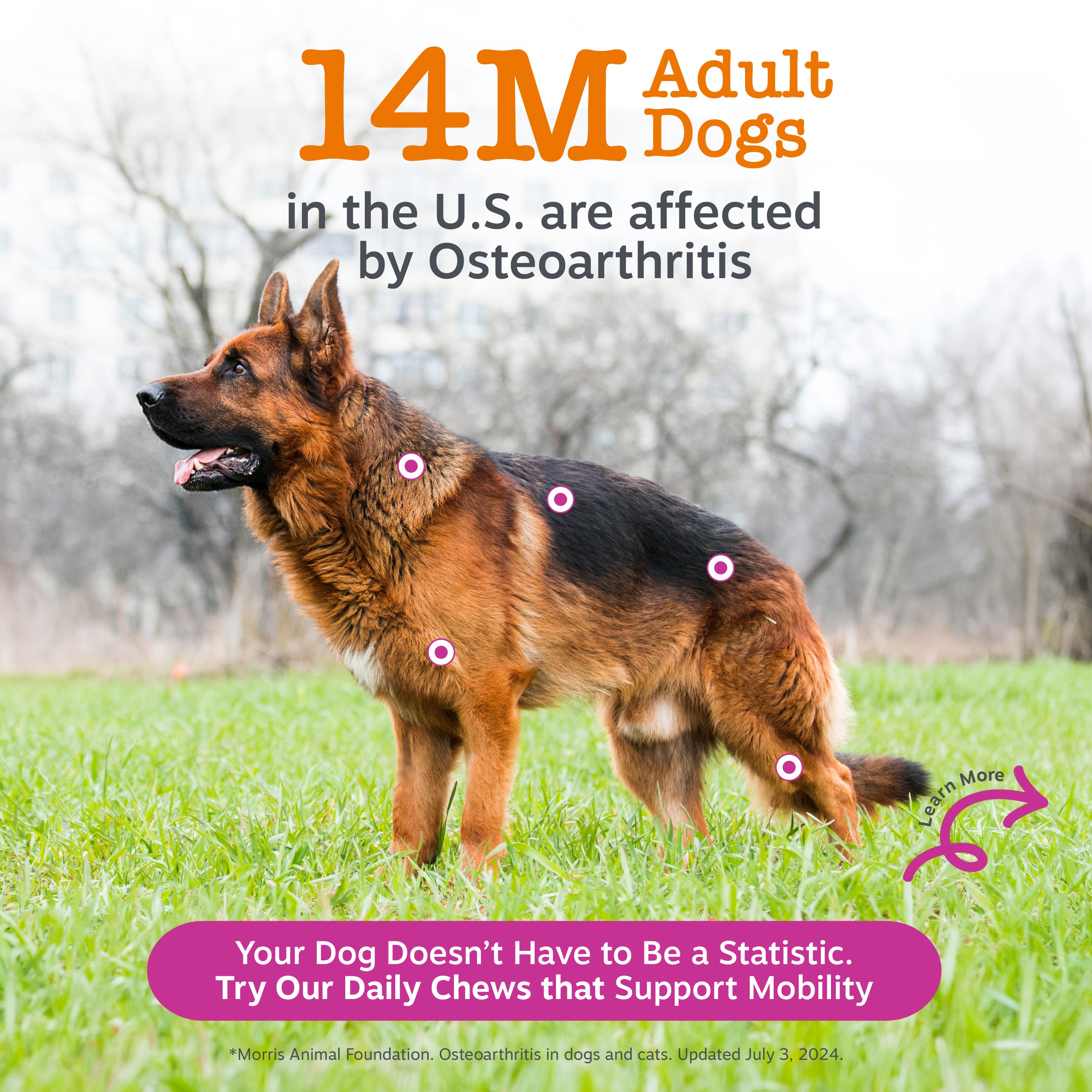 Vet Strength Hip & Joint Bites for Dogs