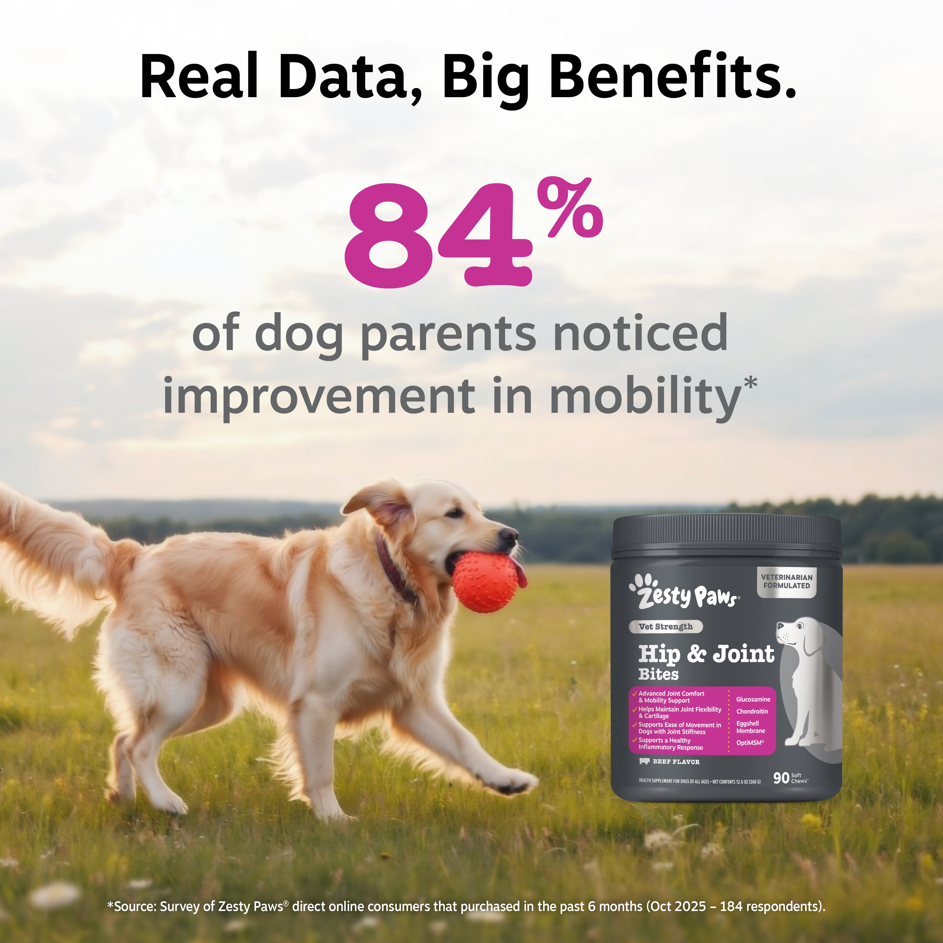 Vet Strength Hip & Joint Bites for Dogs