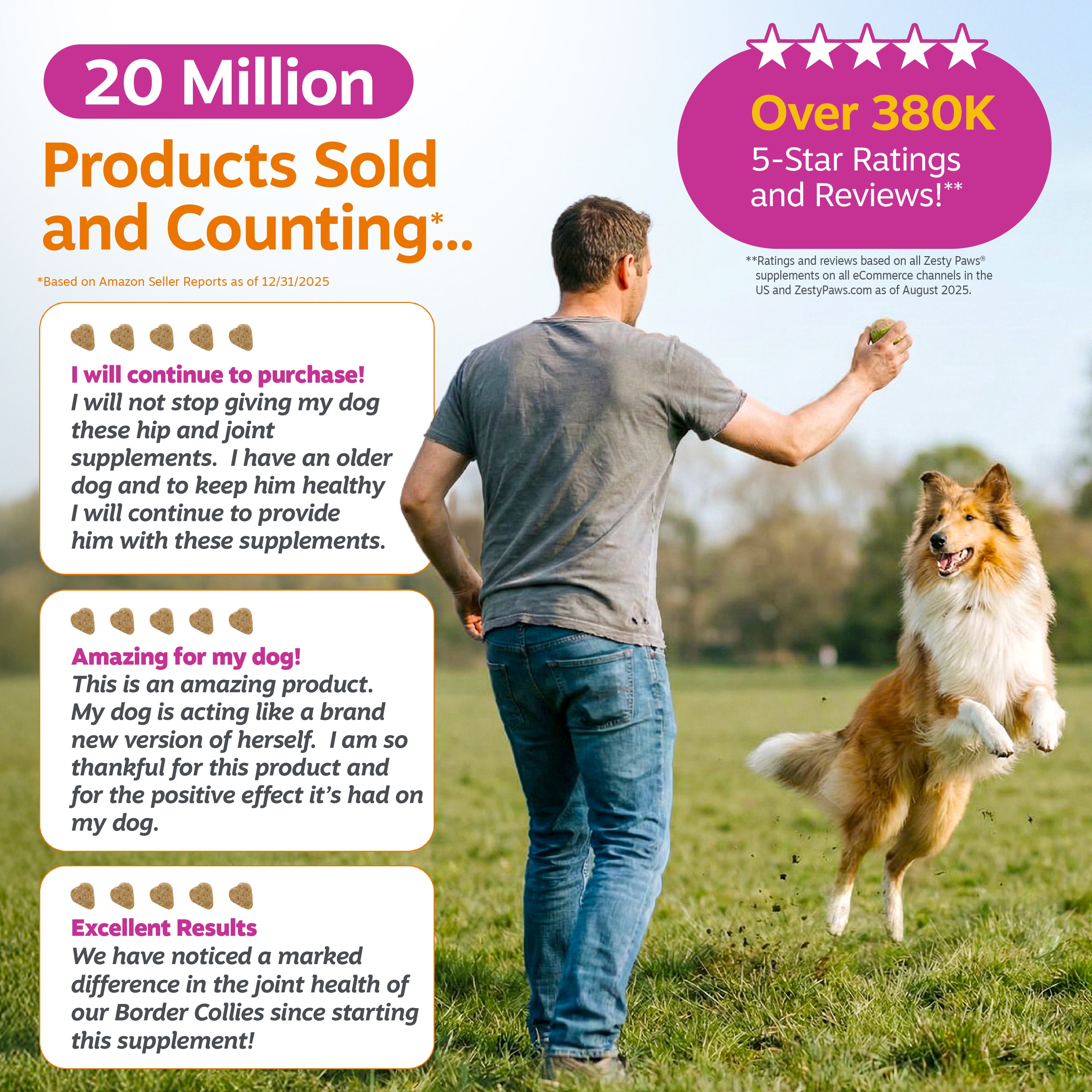Vet Strength Hip & Joint Bites for Dogs