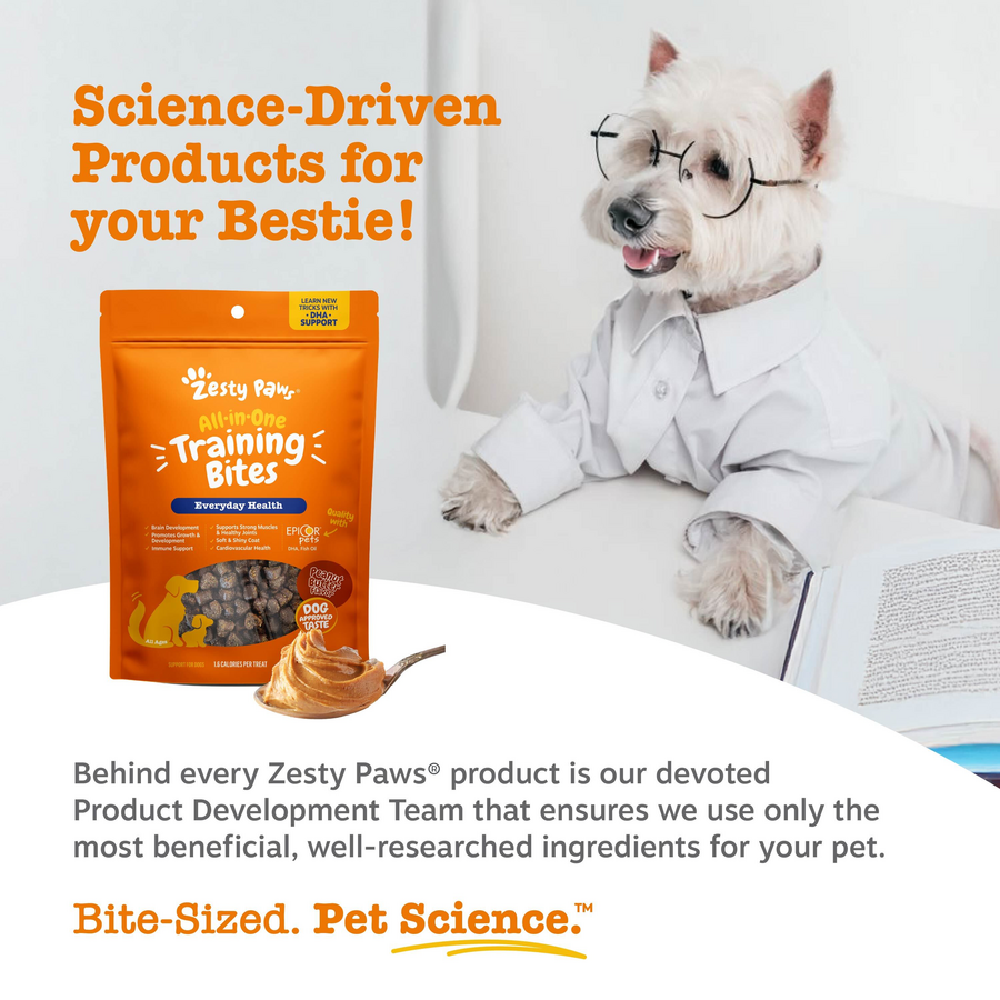 All-in-One Training Bites for Dogs