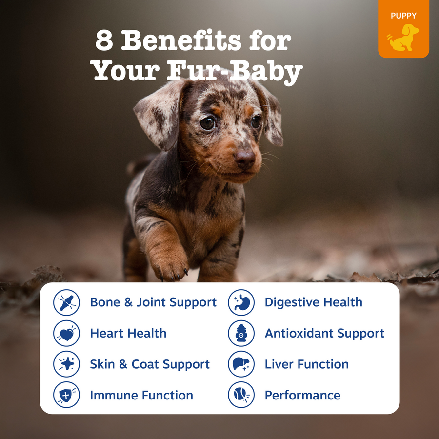 Puppy 8-in-1 Multivitamin Bites