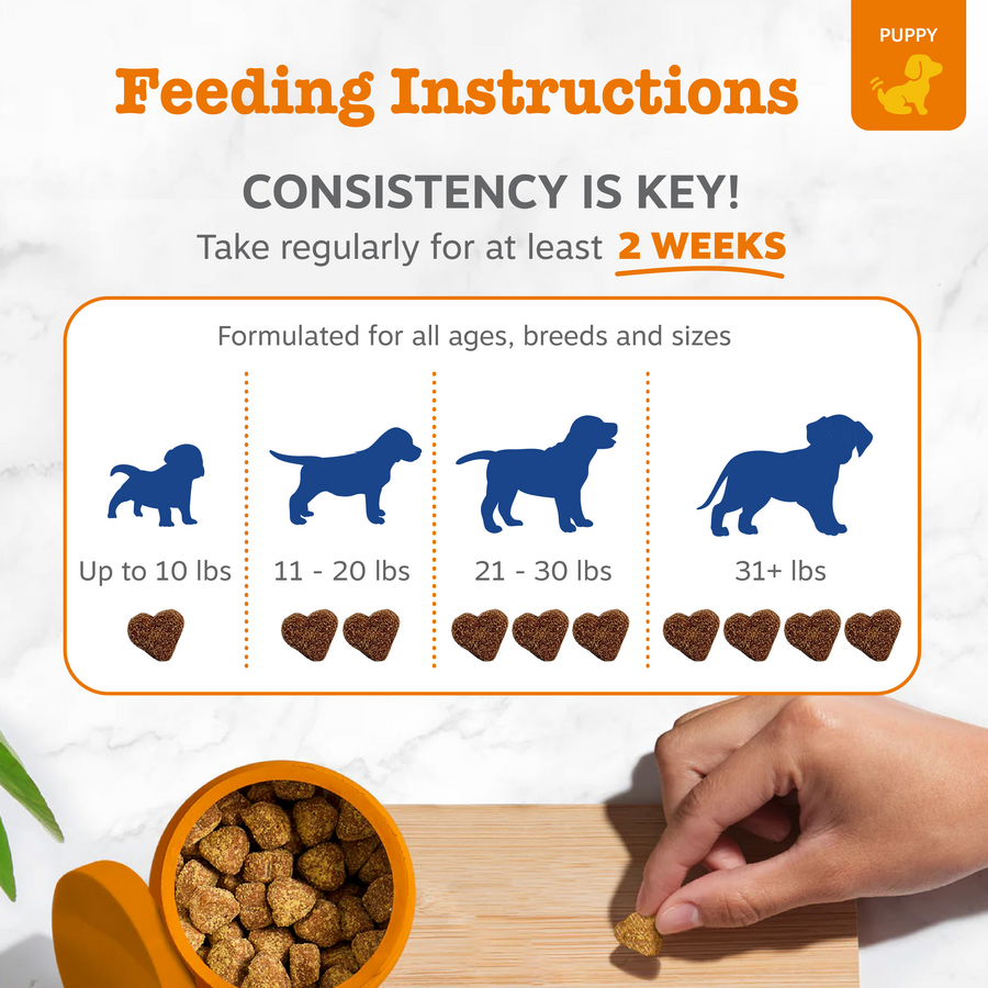 Puppy 8-in-1 Multivitamin Bites