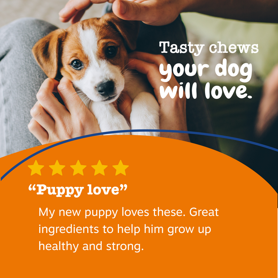 Puppy 8-in-1 Multivitamin Bites