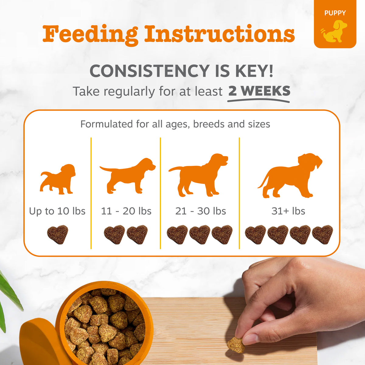 Puppy Allergy & Immune Bites