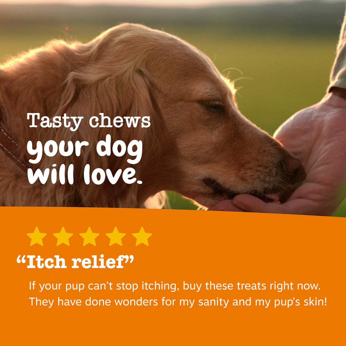 Puppy Allergy & Immune Bites