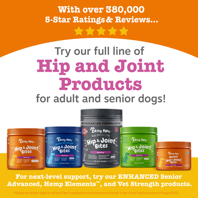 Zesty Paws | Mussel Mobility Bites™ for Dogs