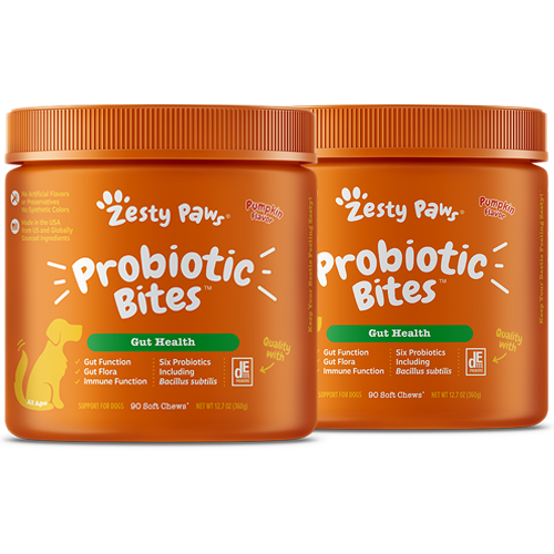 Probiotic Bites for Dogs