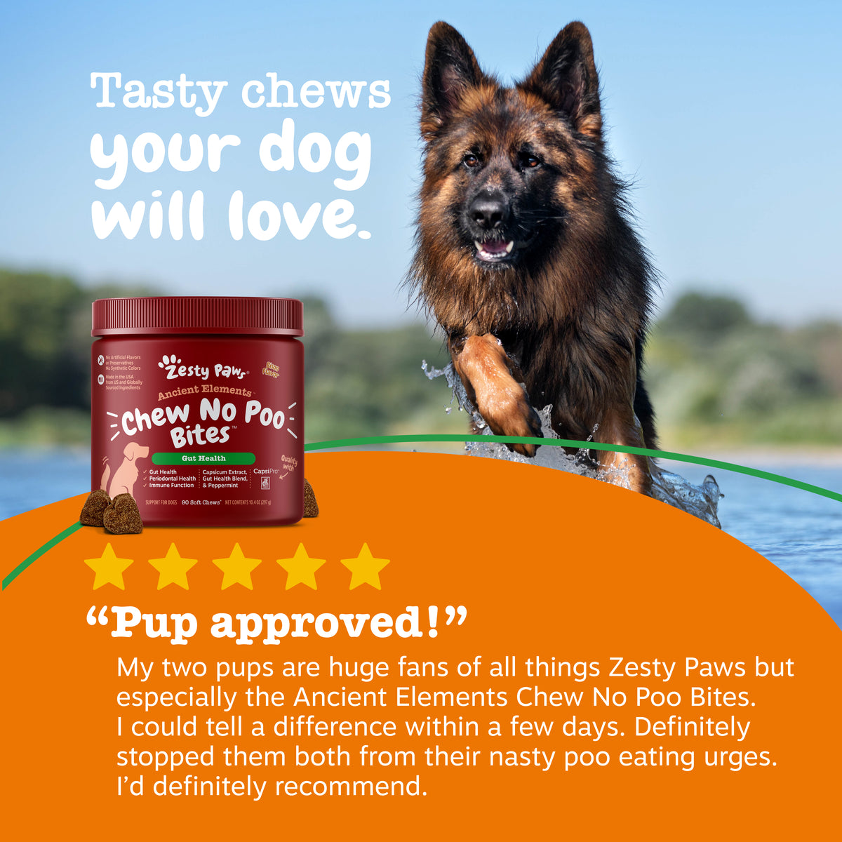 Ancient Elements Chew No Poo Bites for Dogs