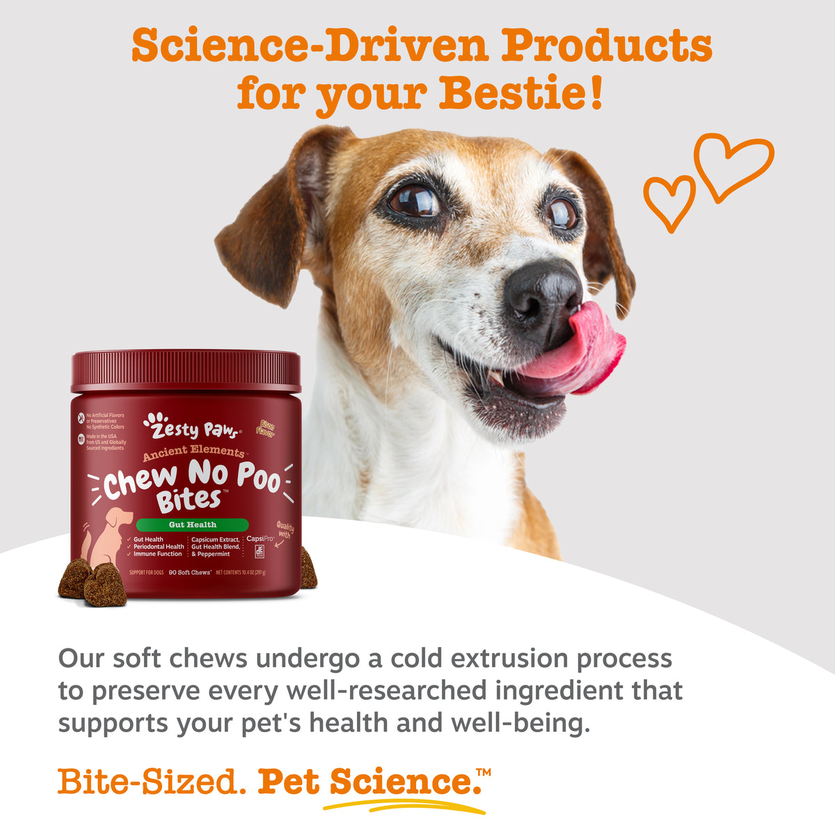 Ancient Elements Chew No Poo Bites for Dogs