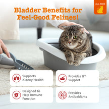 Tabby cat in litter box with product benefit information cards for urinary tract health support.