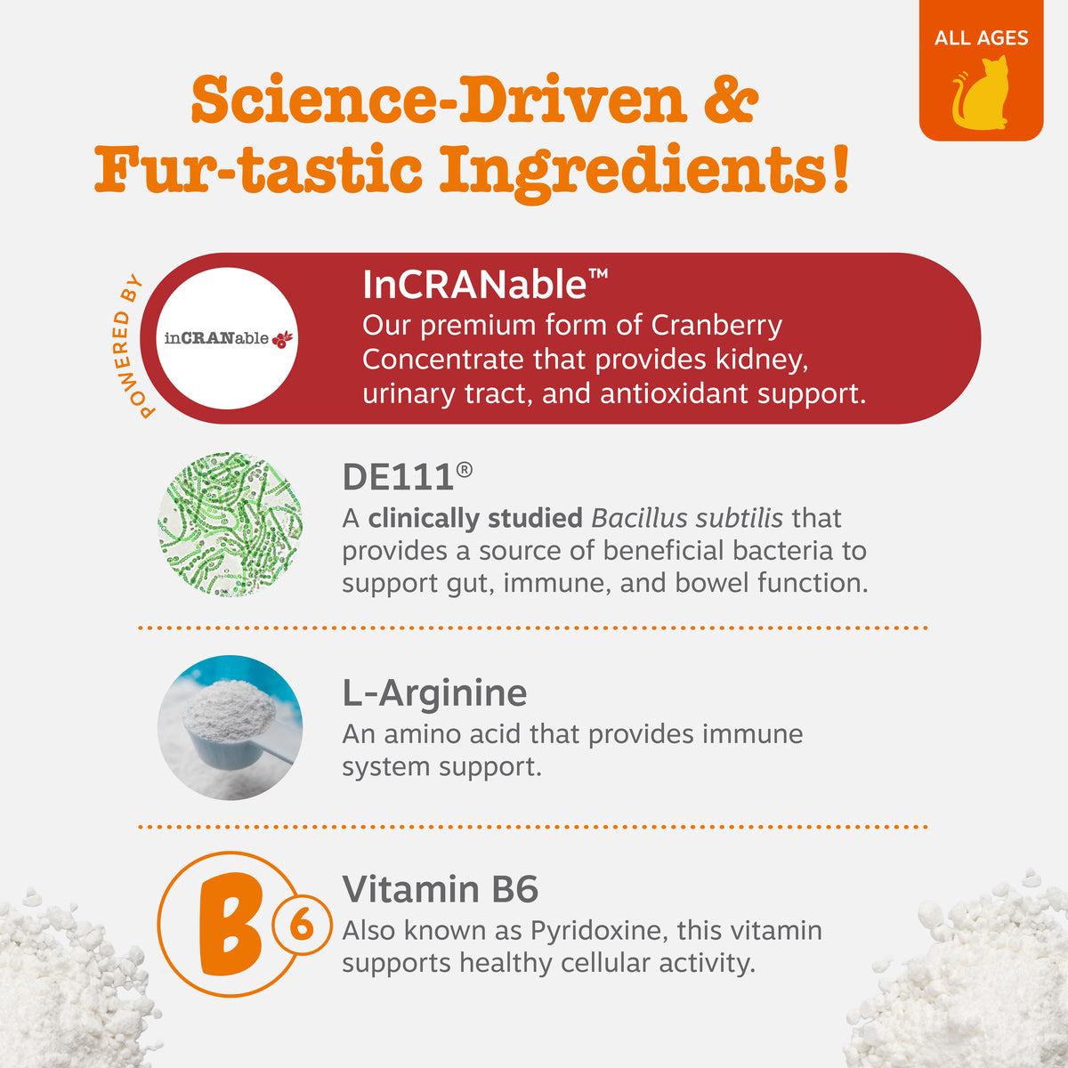 Infographic showing key ingredients for cat urinary tract treats: InCRANable cranberry concentrate, DE111 bacteria, L-Arginin