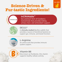 Infographic showing key ingredients for cat urinary tract treats: InCRANable cranberry concentrate, DE111 bacteria, L-Arginin