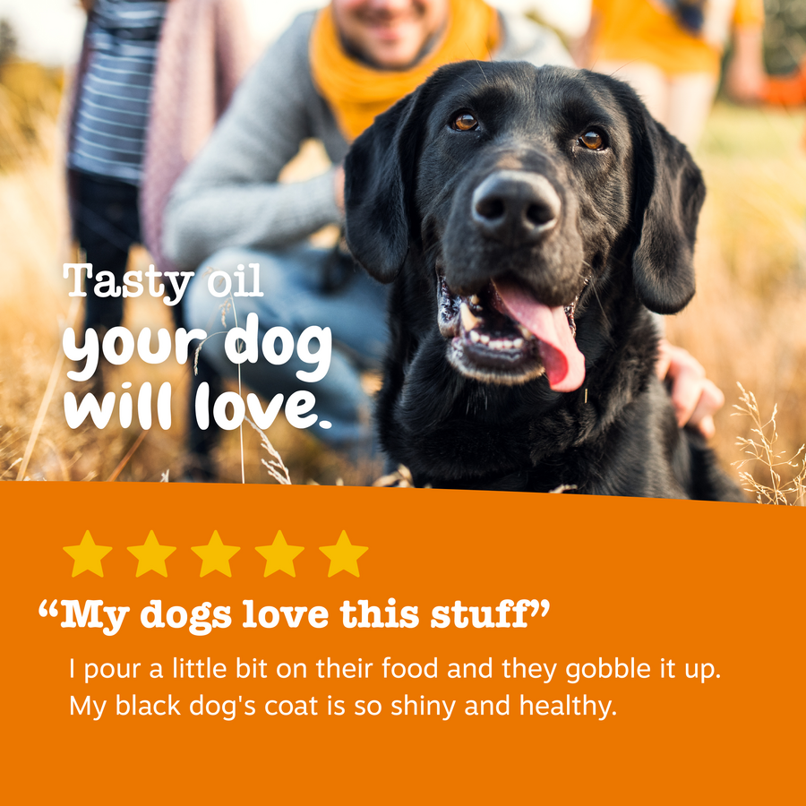 Wild Alaskan Fish Oil for Dogs & Cats - Omega 3 EPA DHA | Zesty Paws