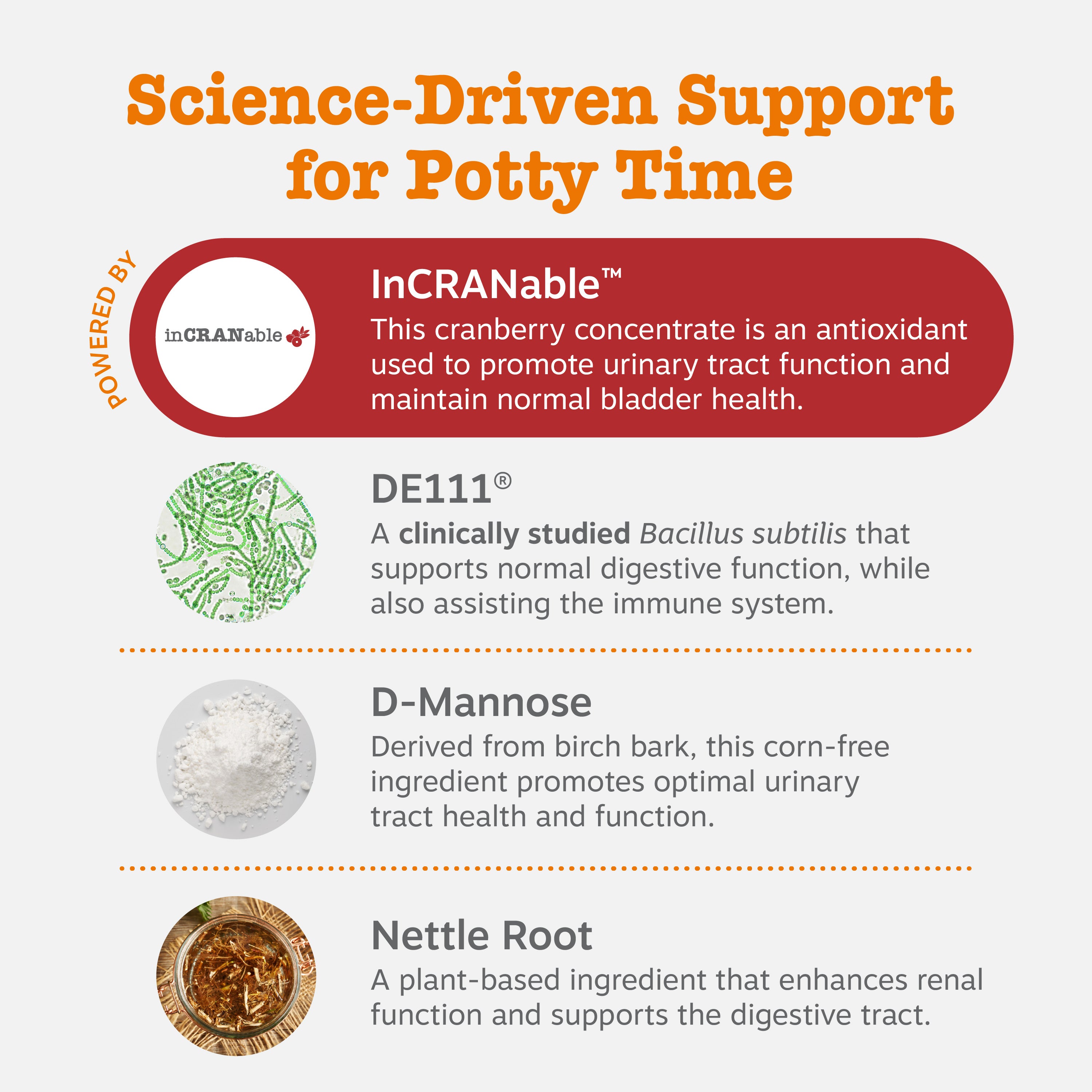 Senior Advanced Urinary Tract Bites for Dogs