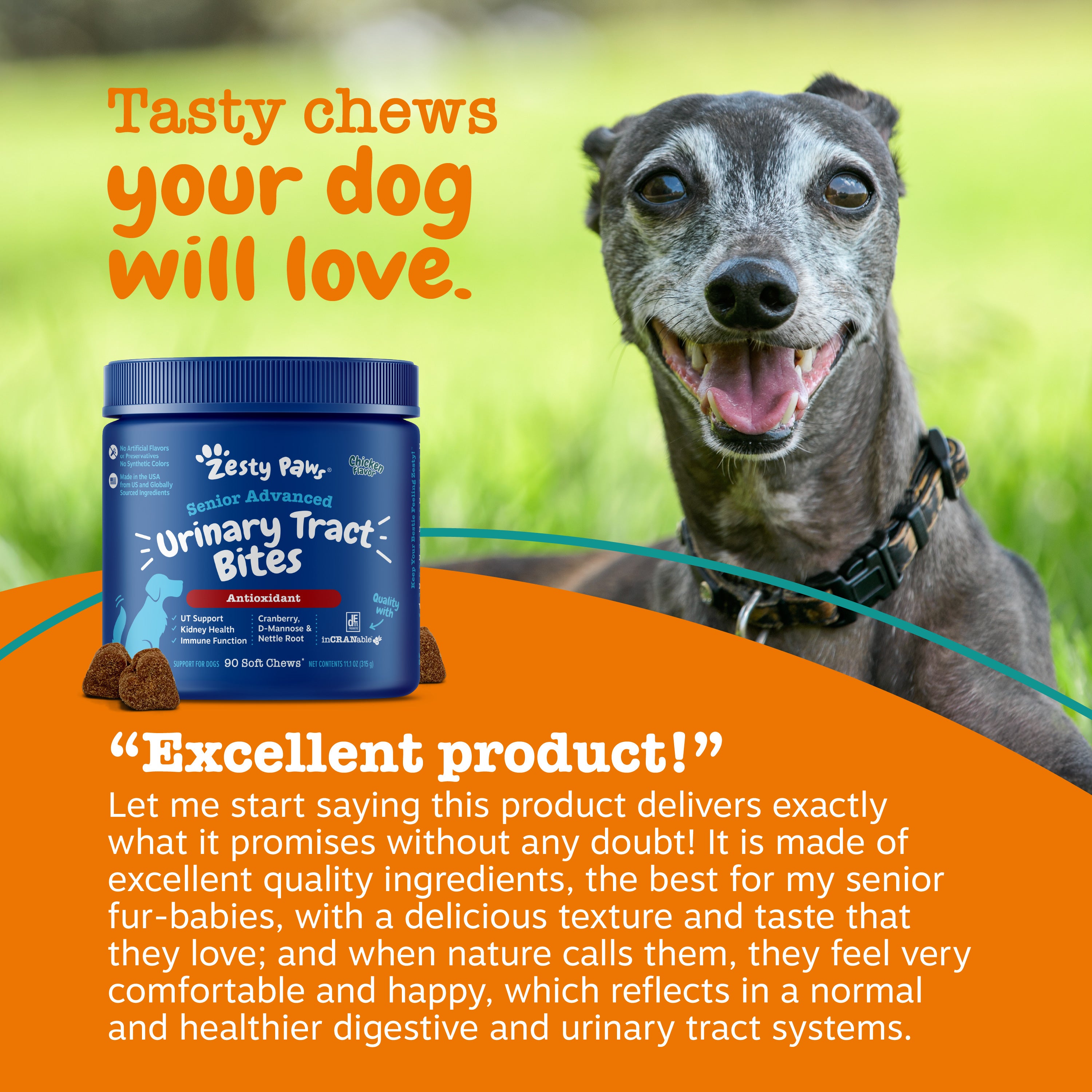 Senior Advanced Urinary Tract Bites for Dogs