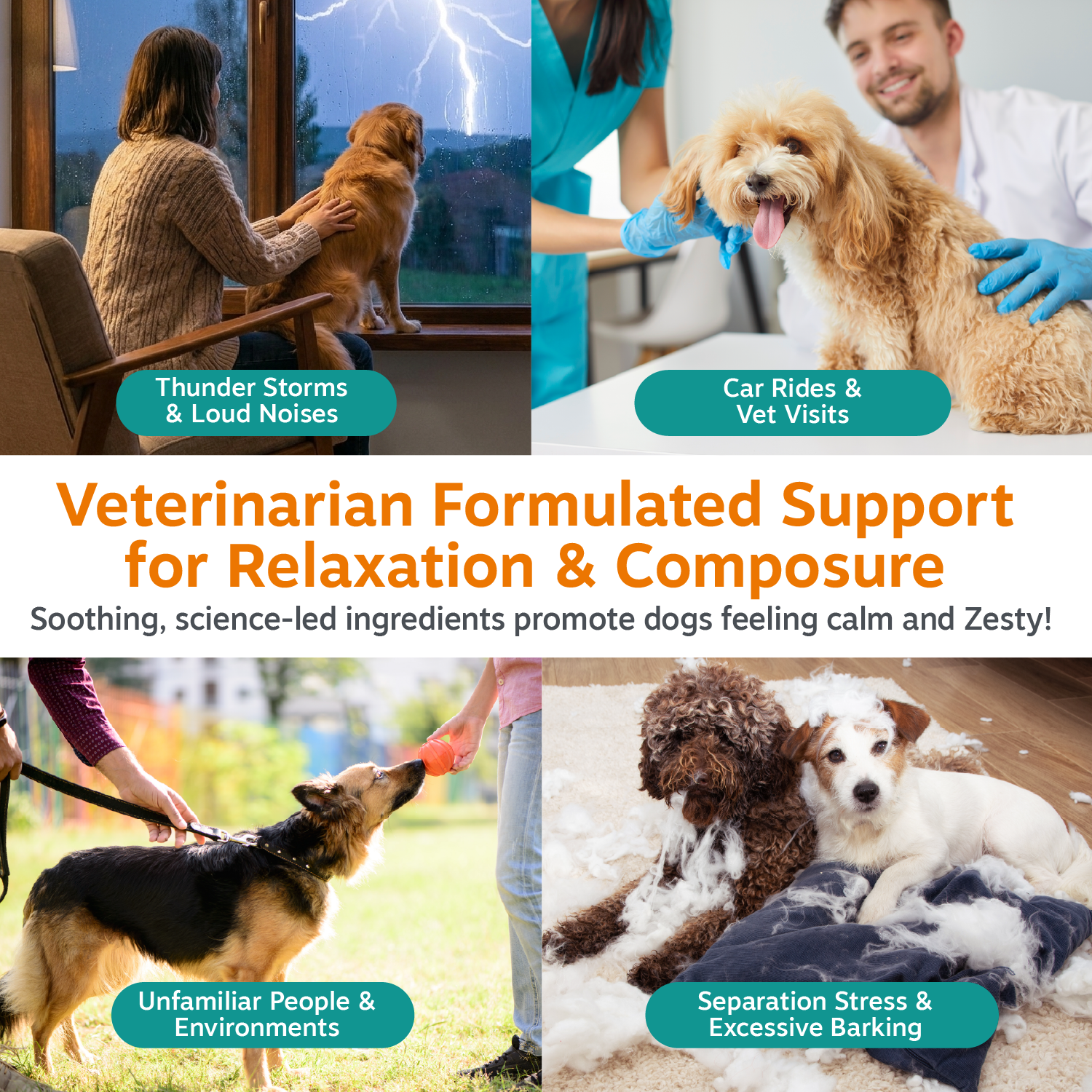 Vet Strength Calming Bites for Dogs