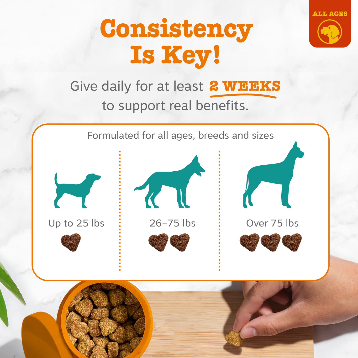 Vet Strength Calming Bites for Dogs