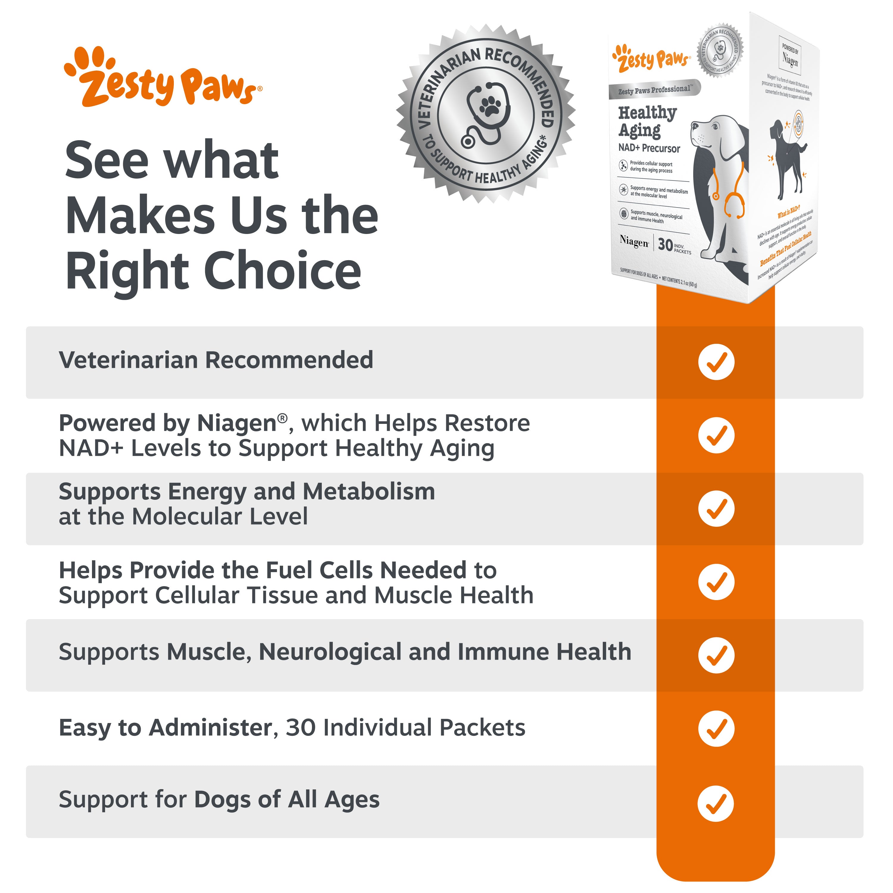 Healthy Aging NAD+ Precursor Powder for Dogs