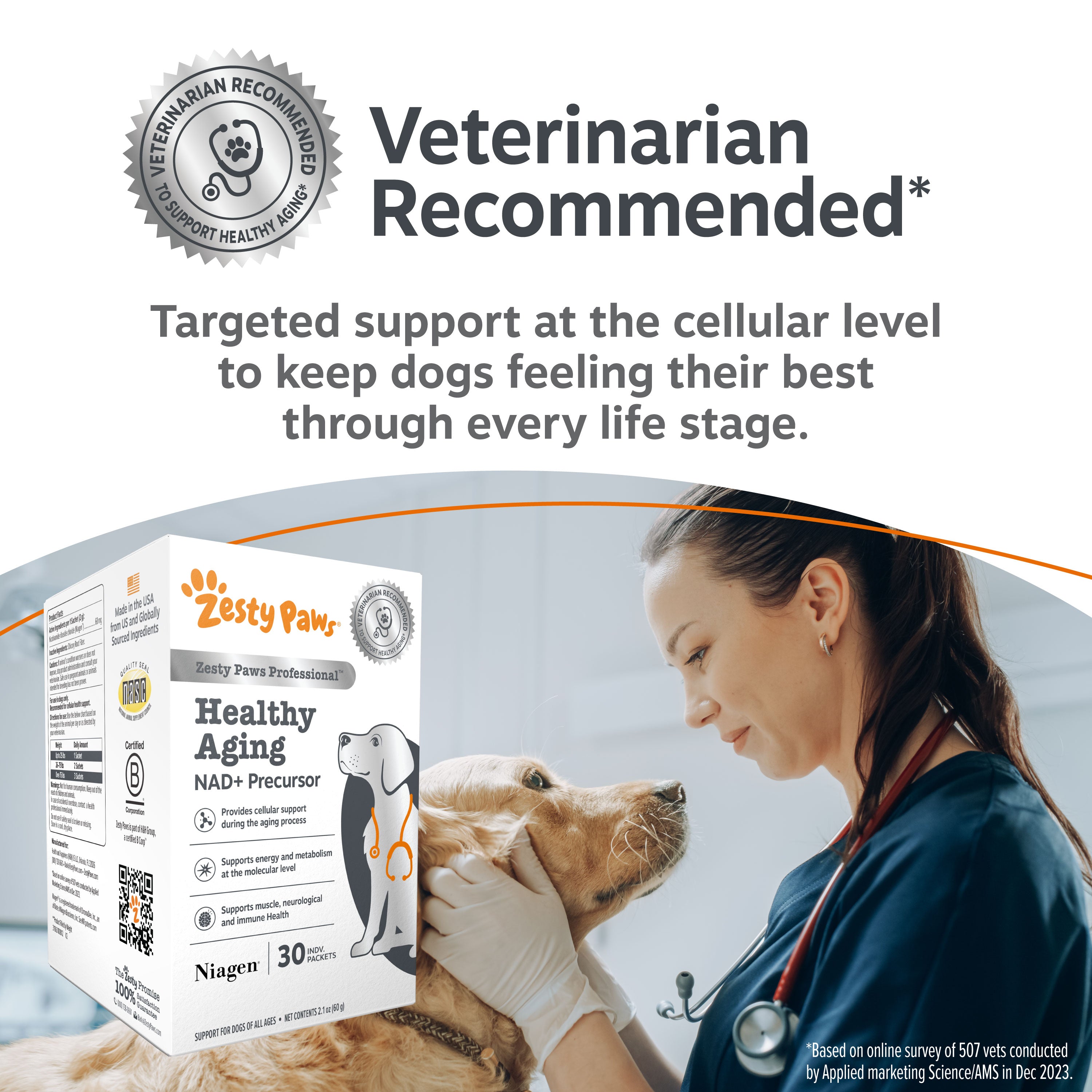 Healthy Aging NAD+ Precursor Powder for Dogs