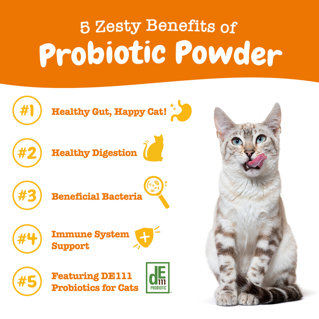 Probiotic Powder for Cats