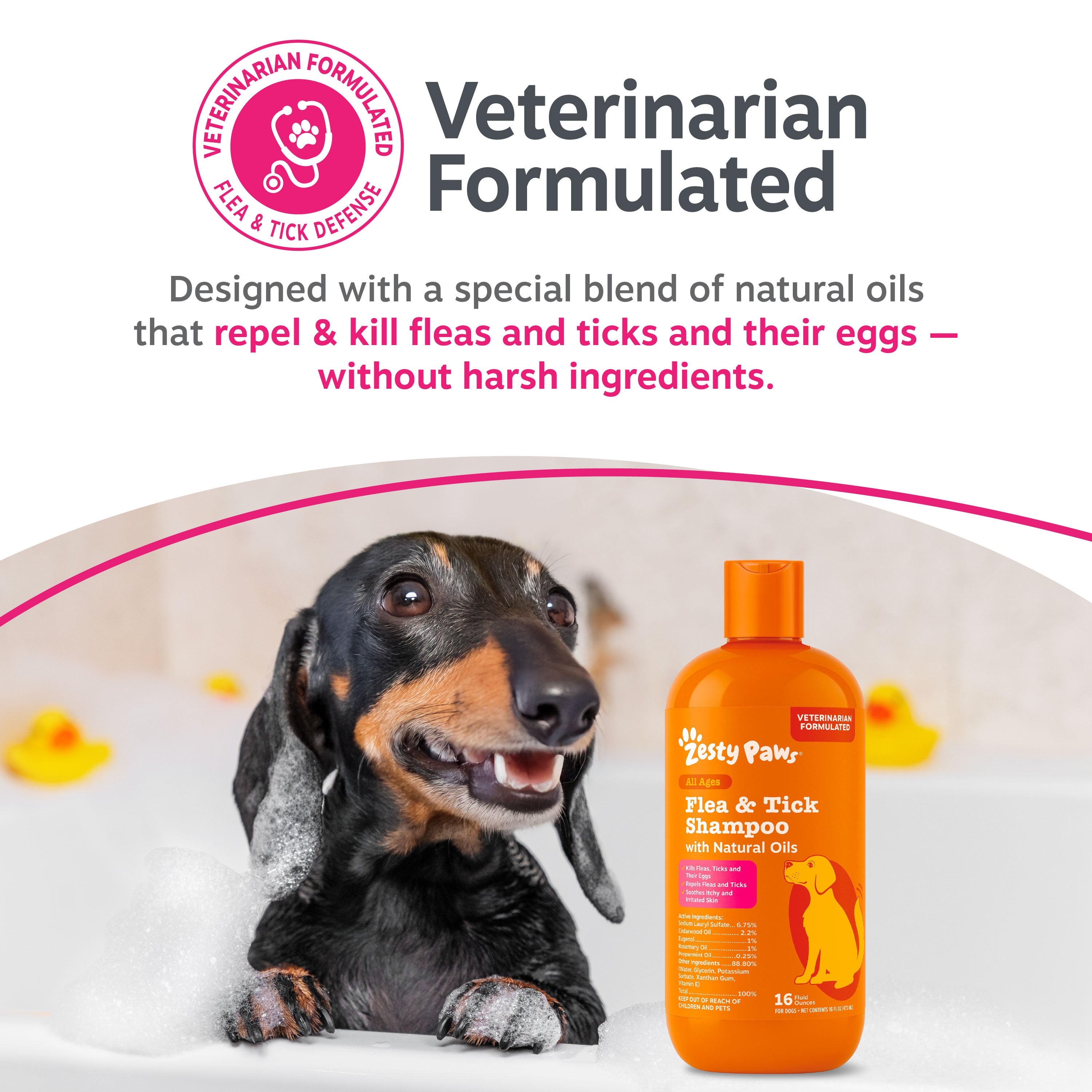 Flea & Tick Shampoo for Dogs