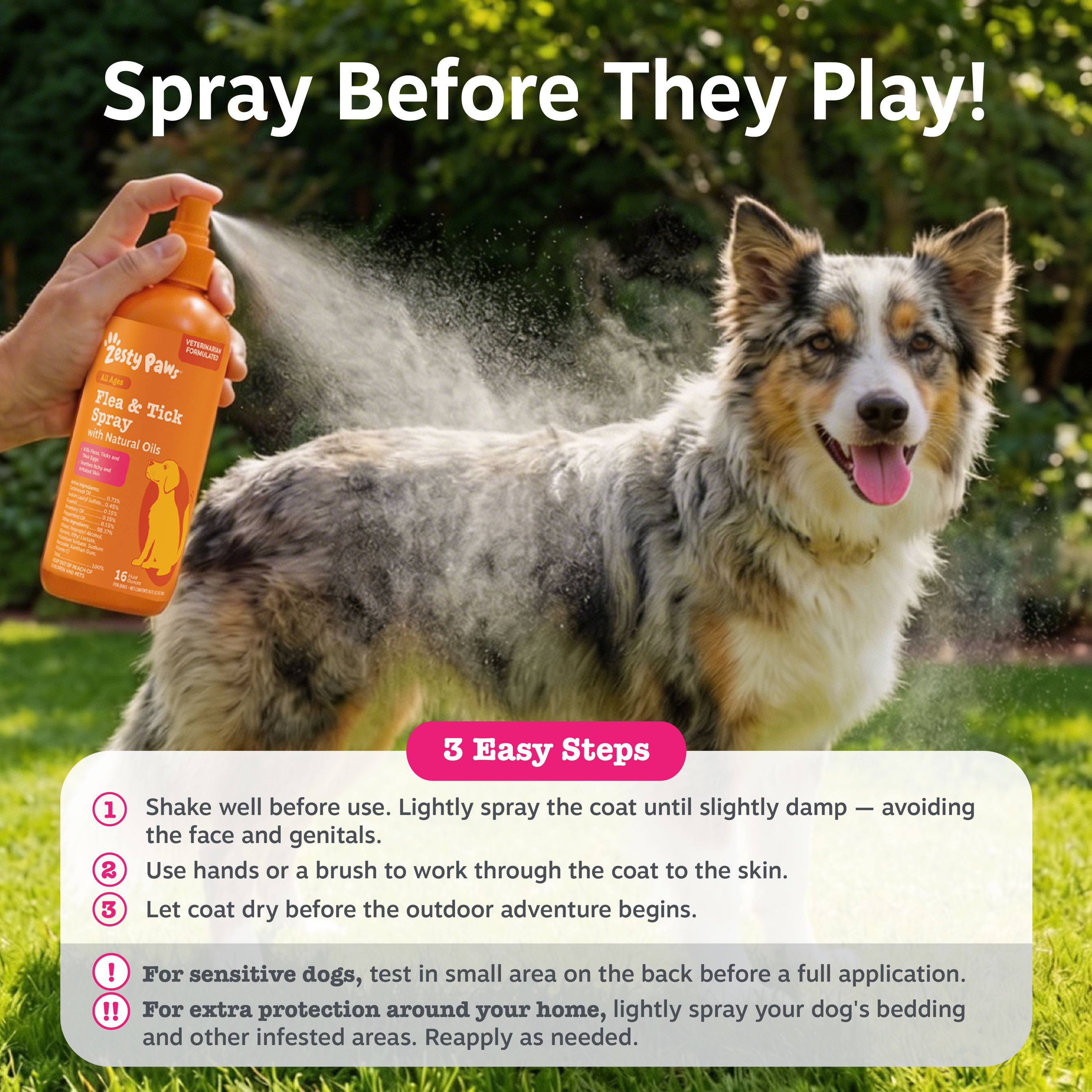 Flea & Tick Spray for Dogs