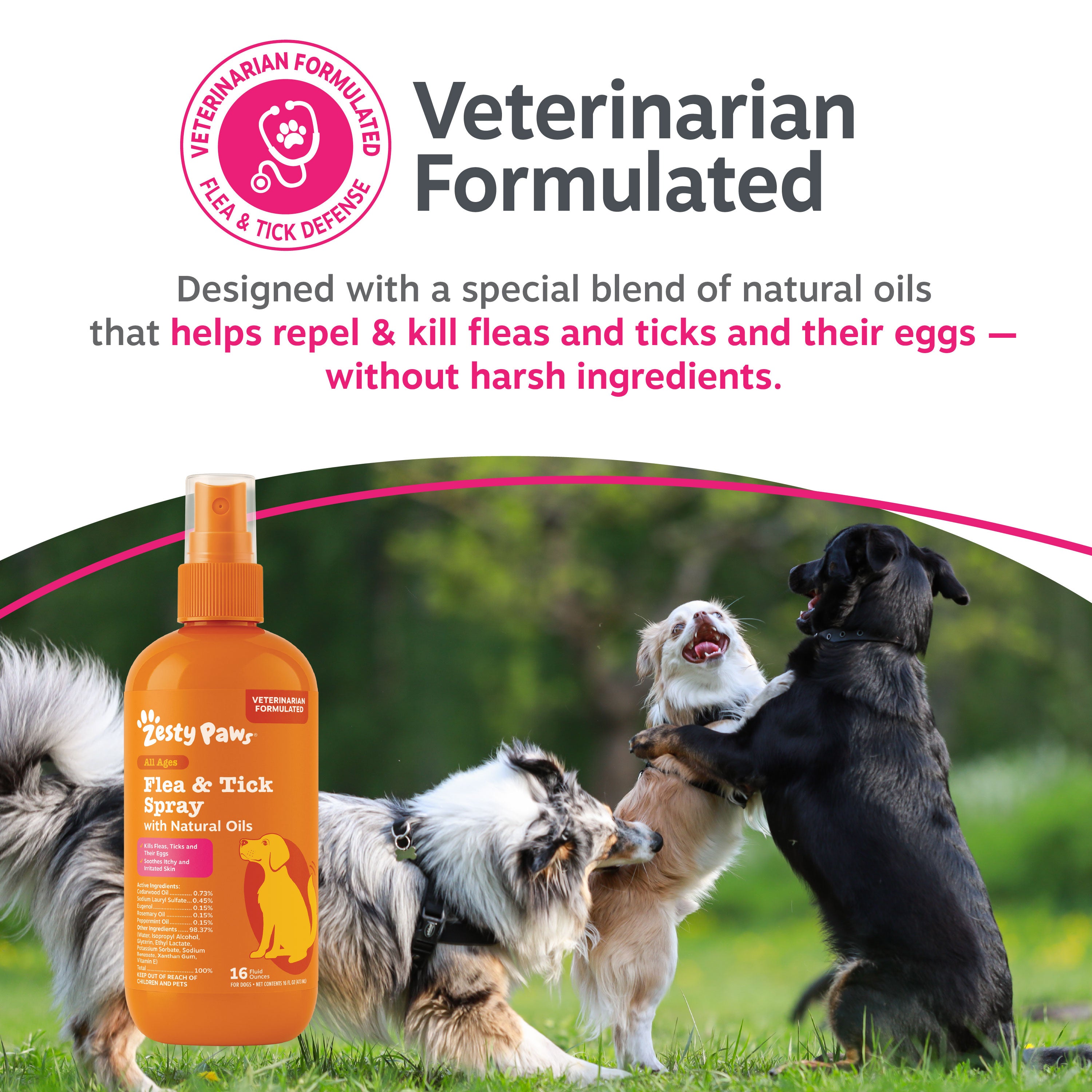 Flea & Tick Spray for Dogs
