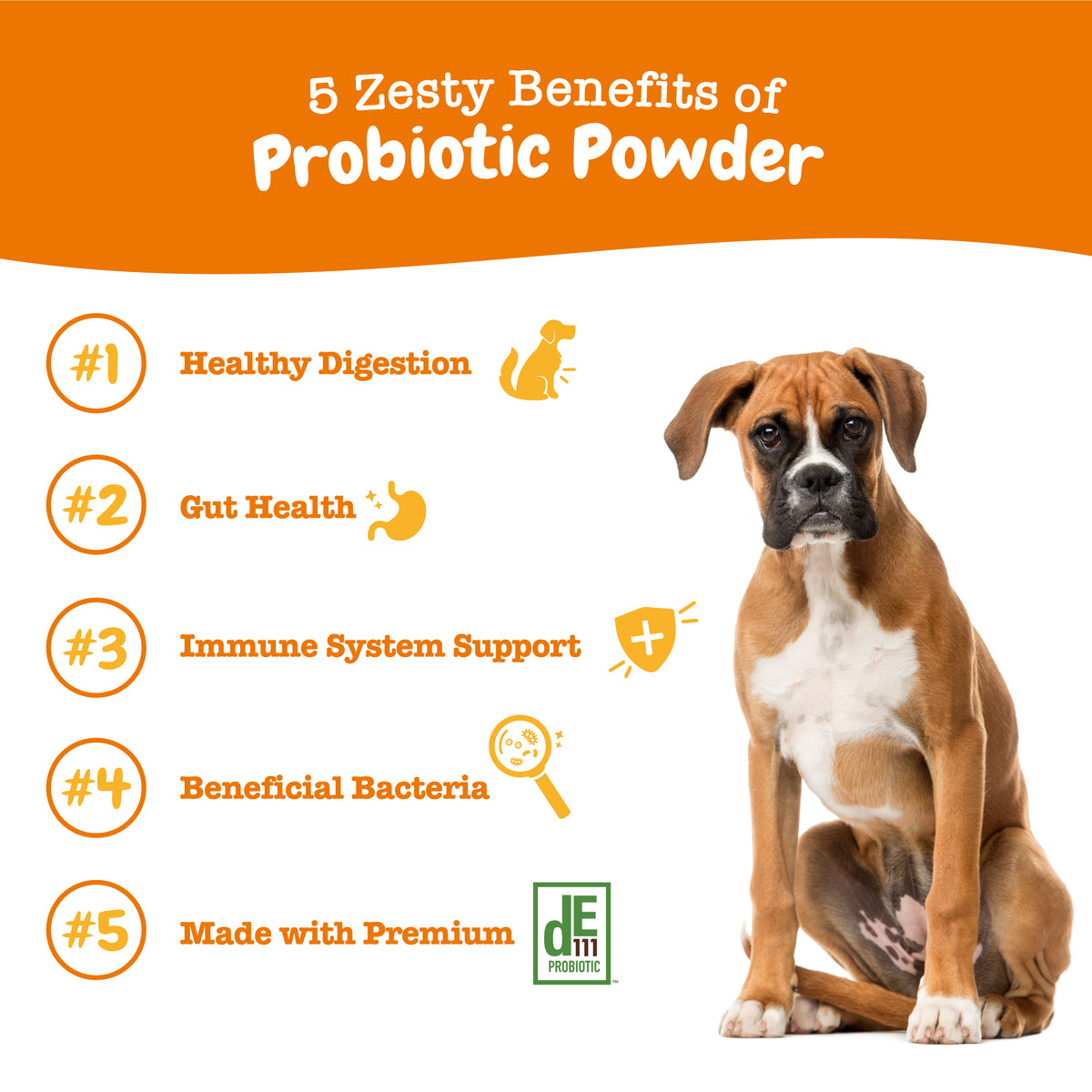 Probiotic Powder for Dogs