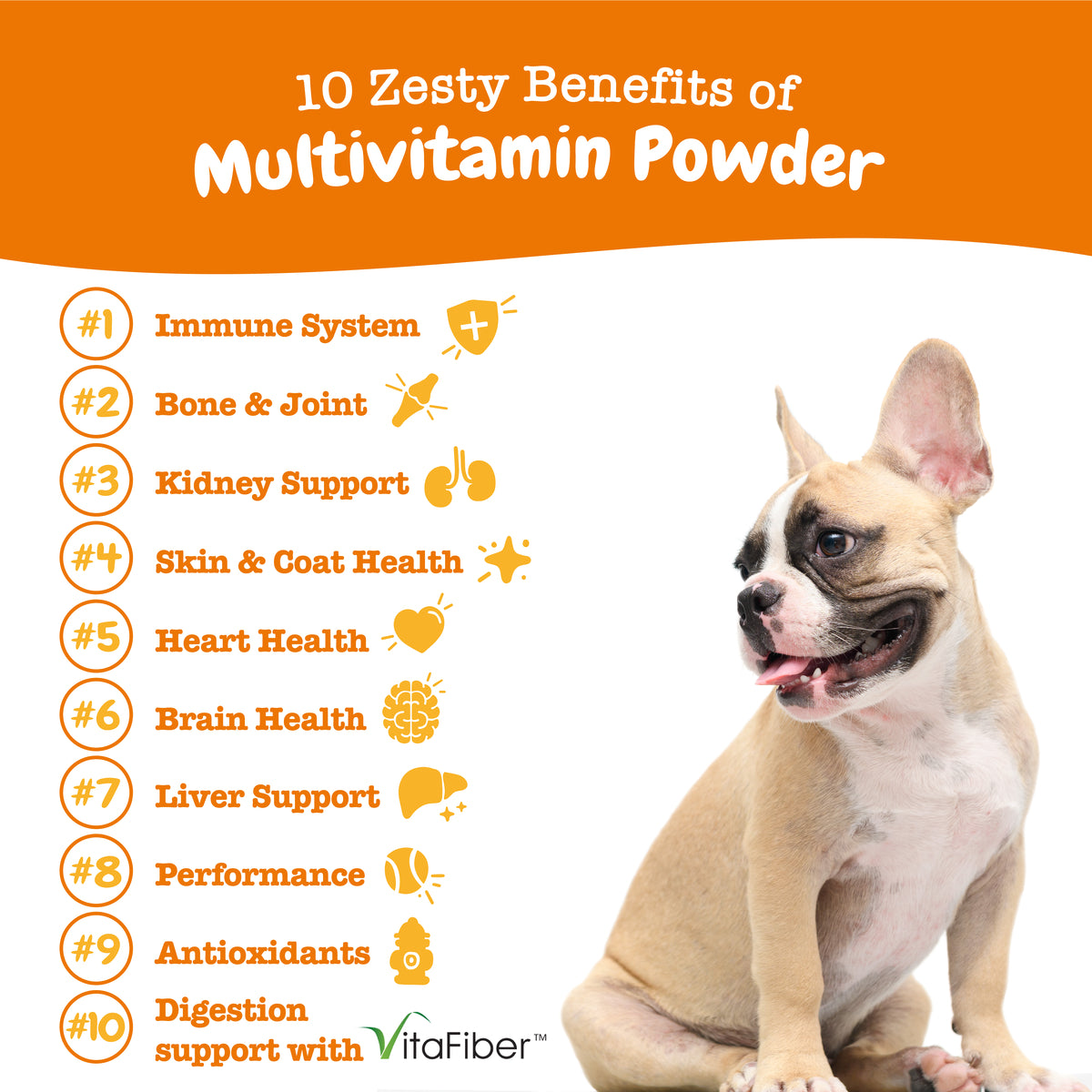 Multivitamin Powder for Dogs