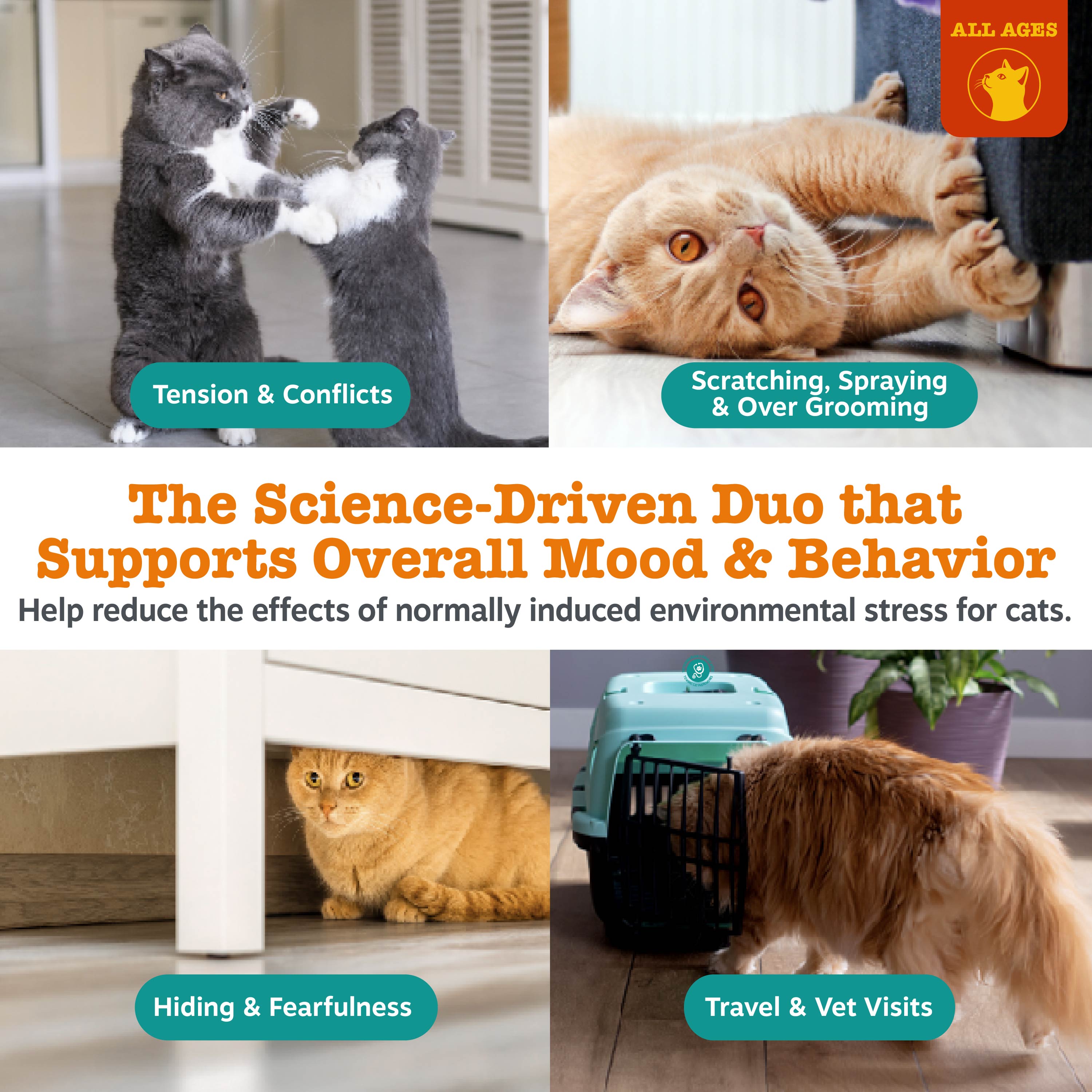 Diffuser Starter Kit + Calming Bites | Bundle for Cats