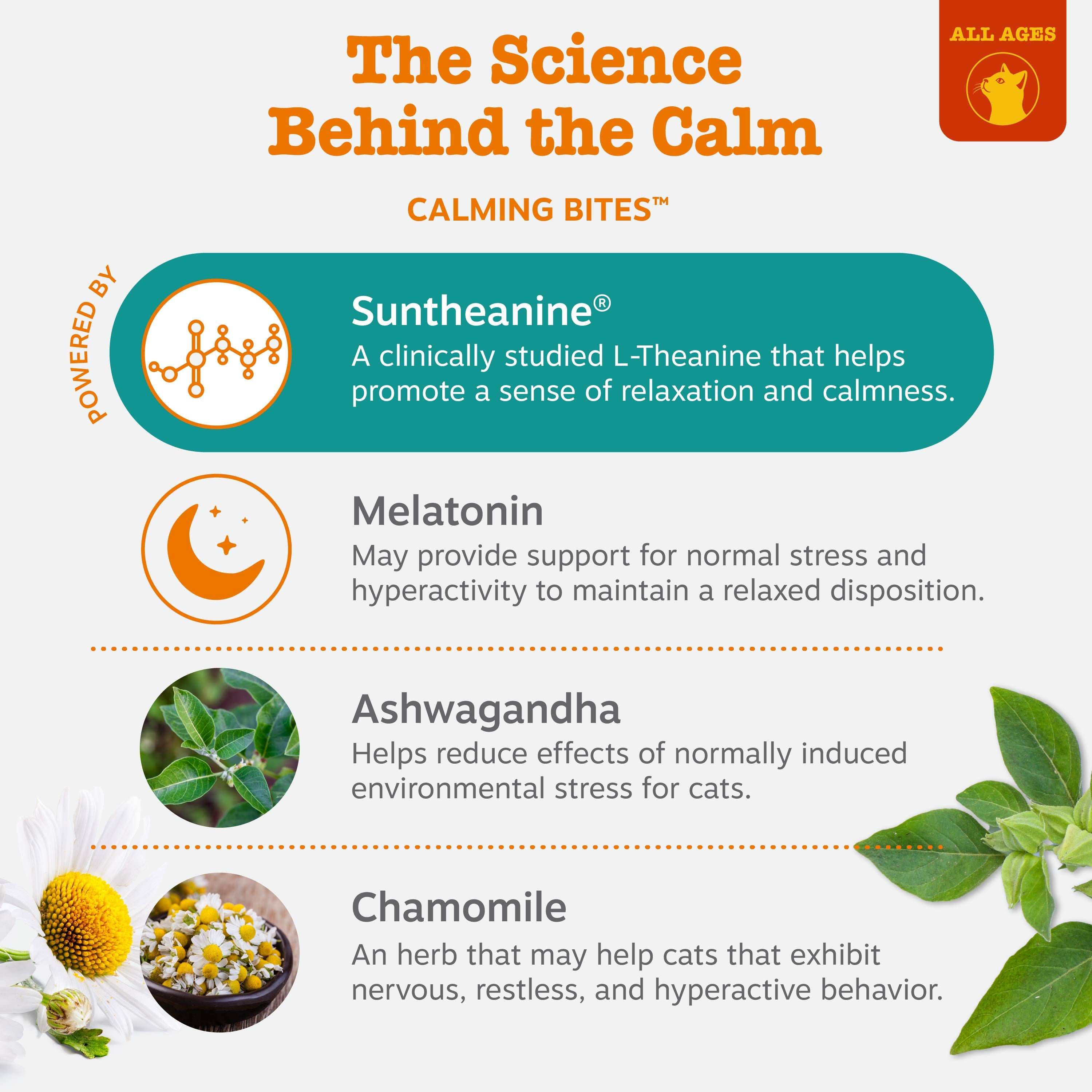 Diffuser Starter Kit + Calming Bites | Bundle for Cats