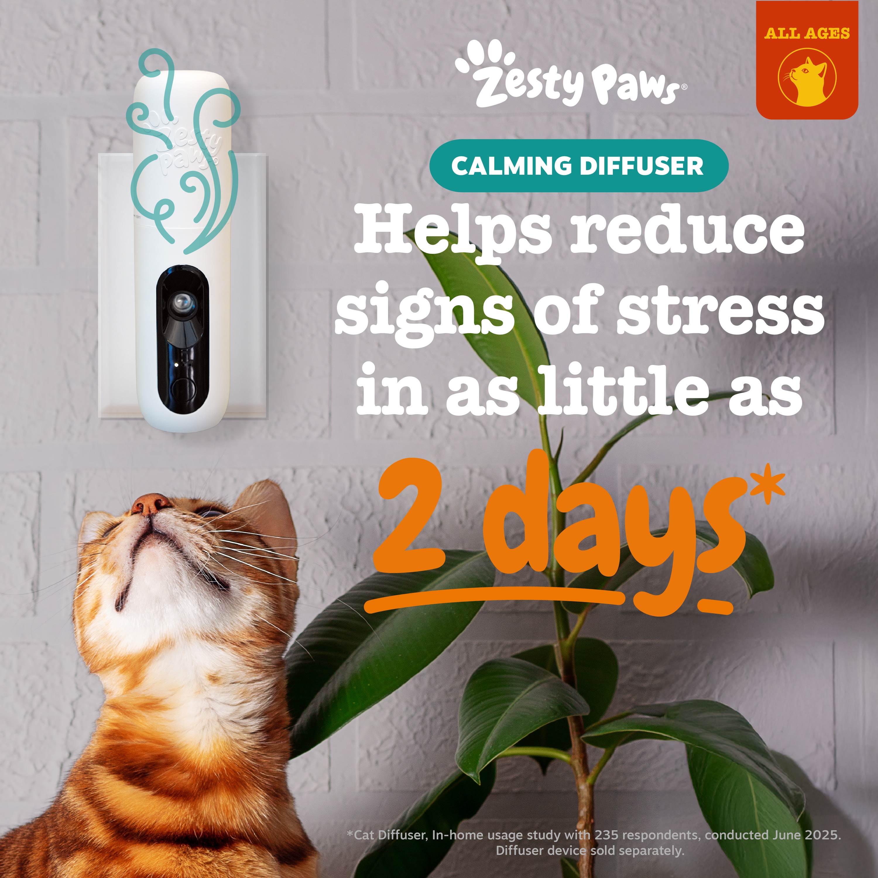 Diffuser Refill + Calming Mousse | Bundle for Cats