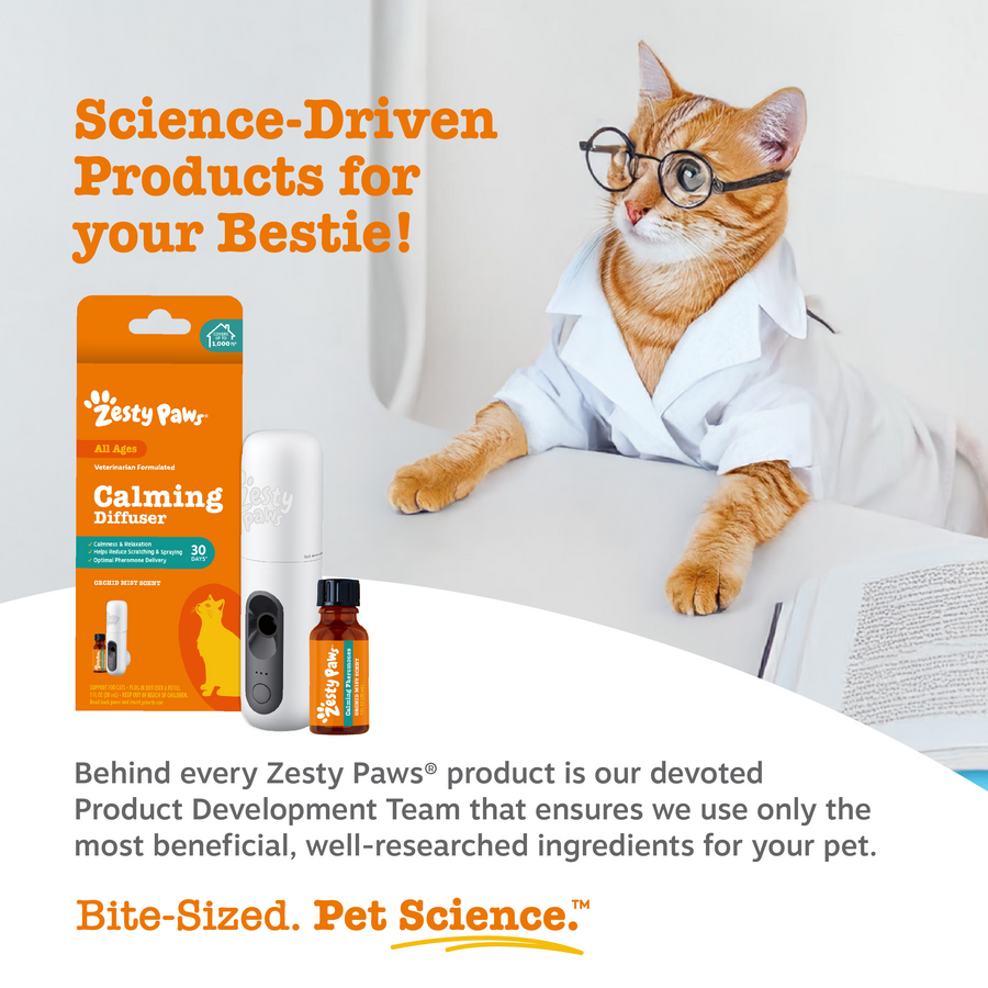 Cat Calming Diffuser Starter Kit - 30 Day Supply