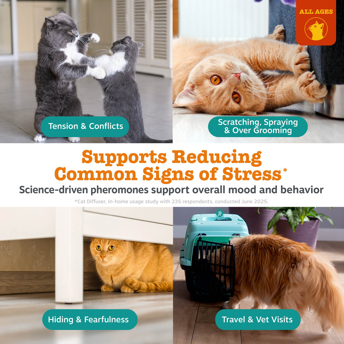 Curated visual reference: Visual Reference: Cat Calming Diffuser Starter Kit