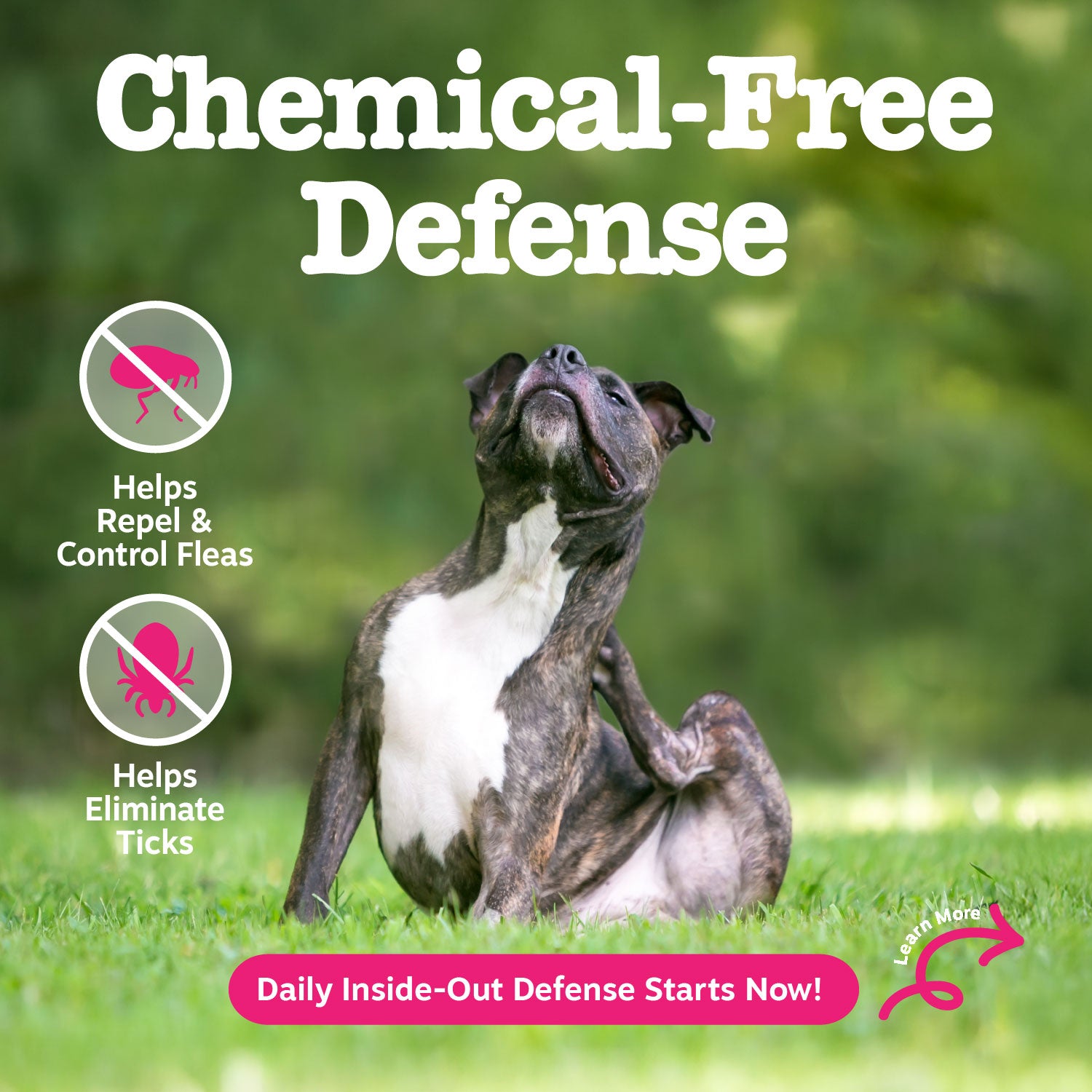 Flea & Tick Bites for Dogs