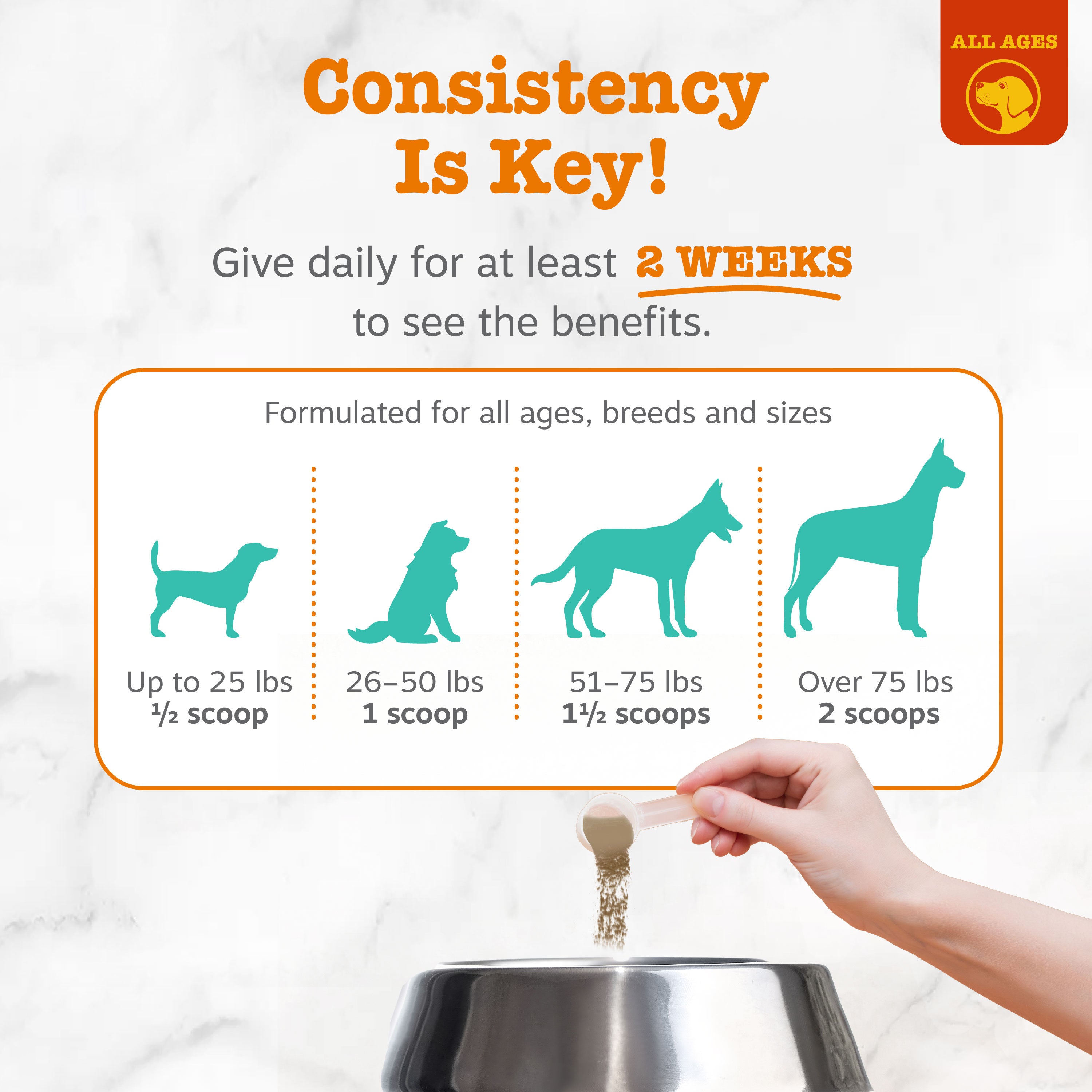 Dental Probiotic Powder for Dogs