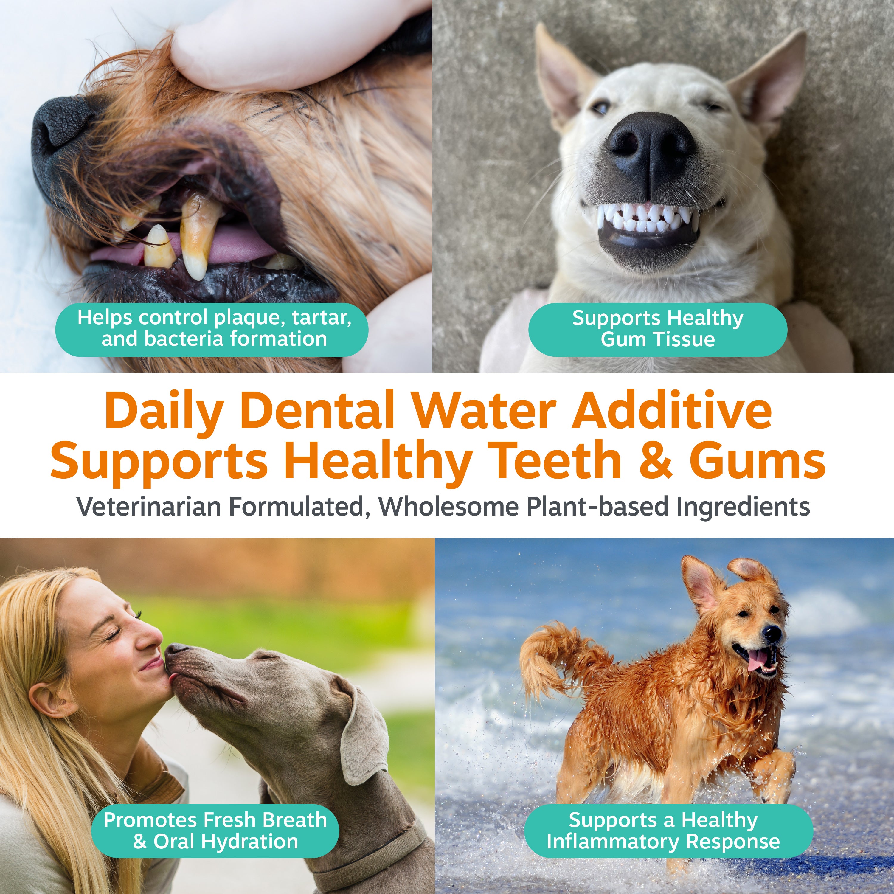 Daily Dental Water Additive for Dogs
